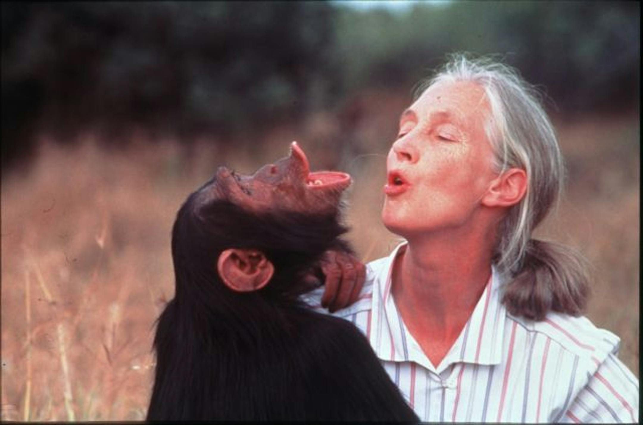 Jane Goodall