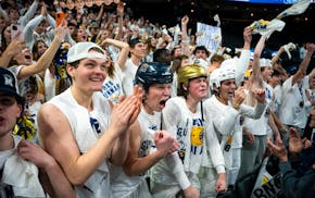 A taste of the Minnesota boys hockey tournament can make anyone a fan.