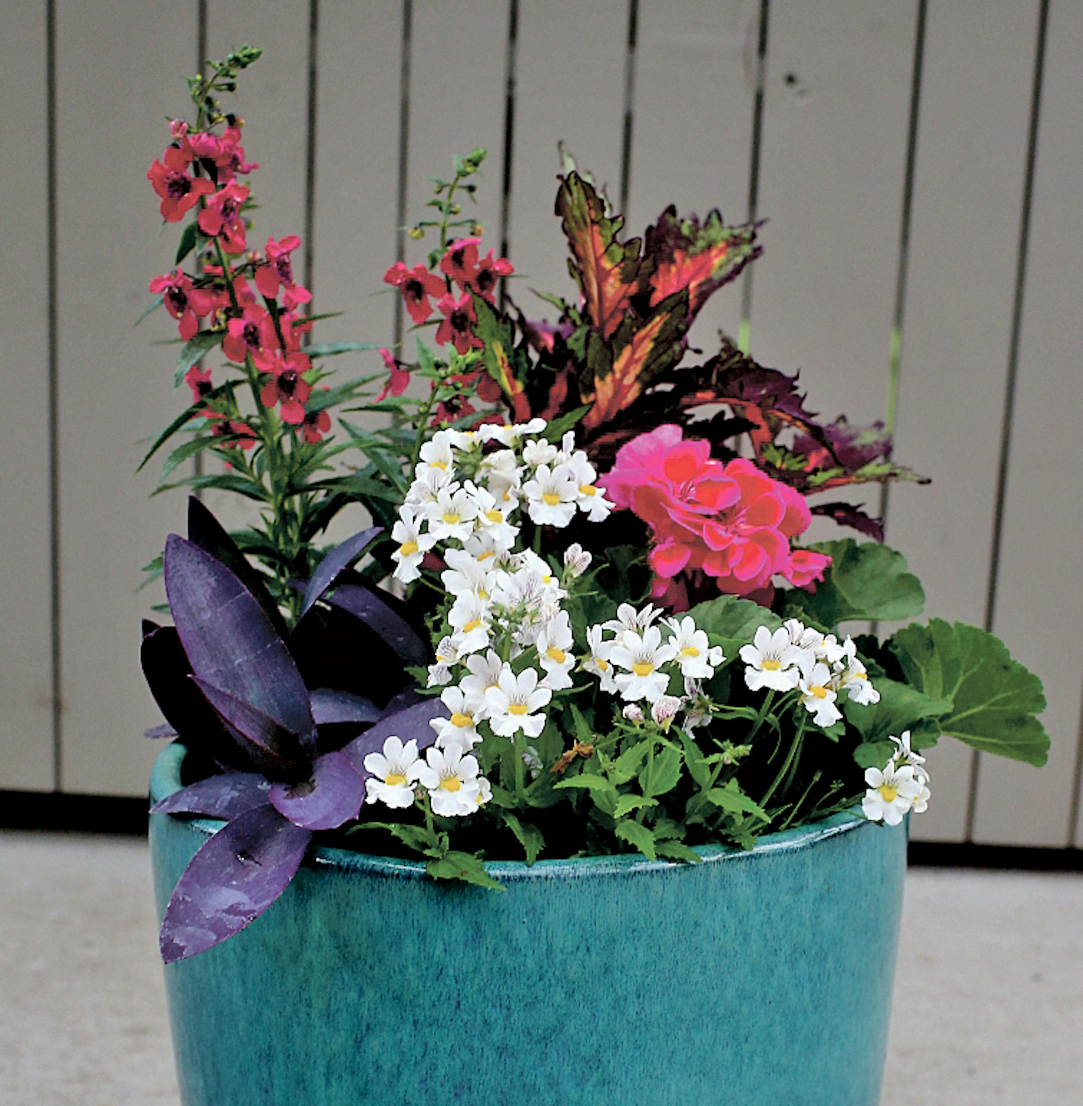 Heat Wave: Sun container garden from Sunnyside Gardens