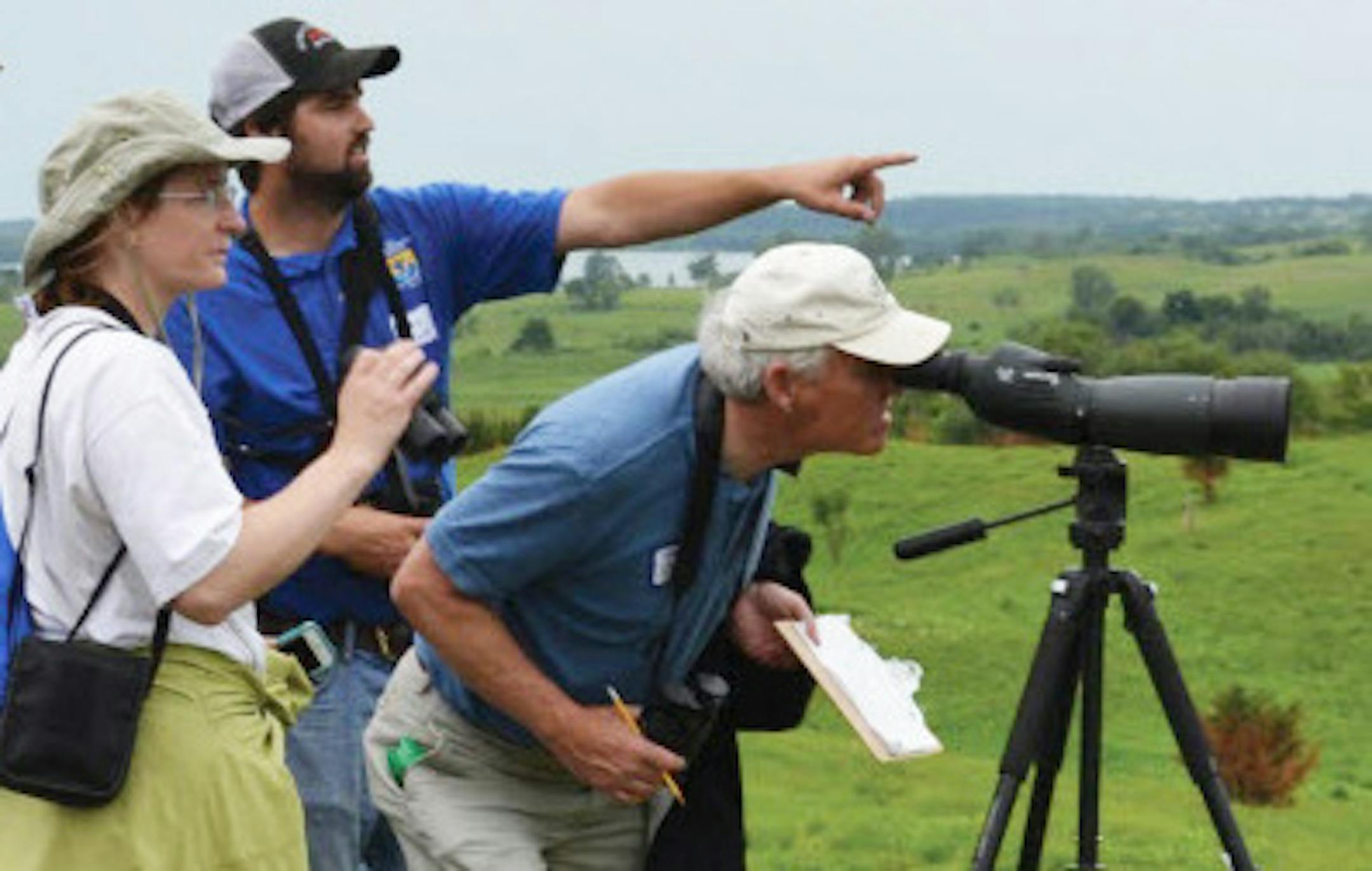 Birdwatchers, in addition to hunters, are worried about the loss of roadside and other upland habitat throughout southern and western Minnesota. Mounring doves and other songbirds are adversely affected. ORG XMIT: MIN1507011400190199