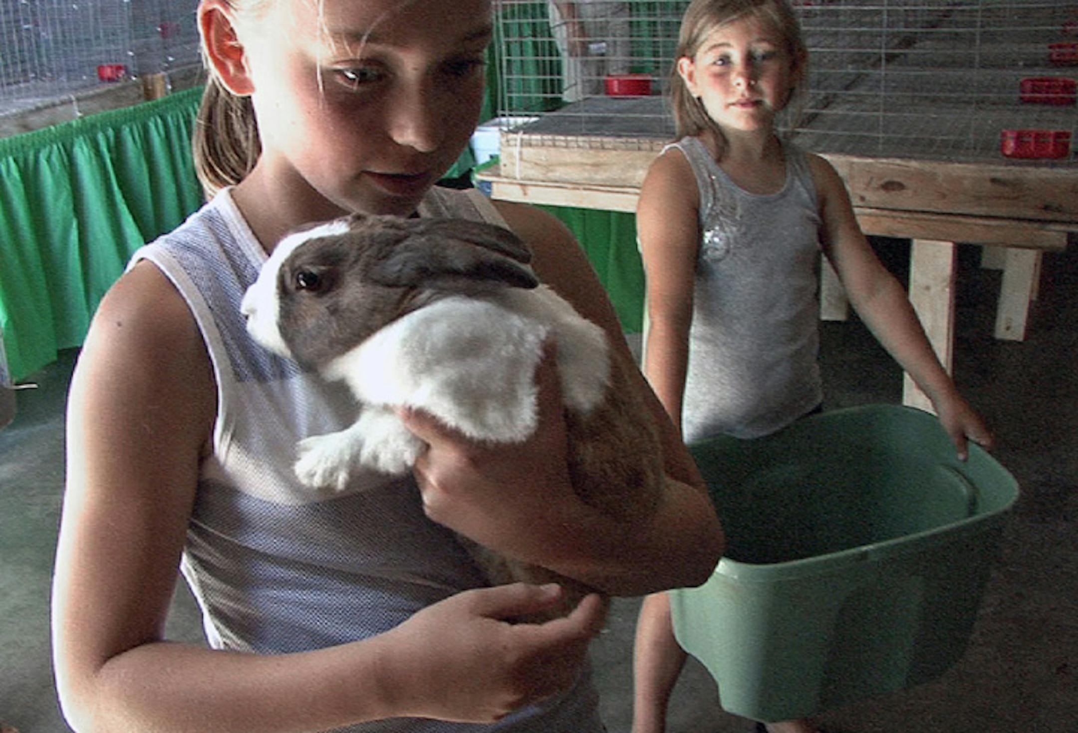 Jill Strodthoff, 11, of Stillwater checked her show rabbit Roster into the rabbit and chicken exhibition hall. Animal shows are a perennial favorite at the Washington County Fair.