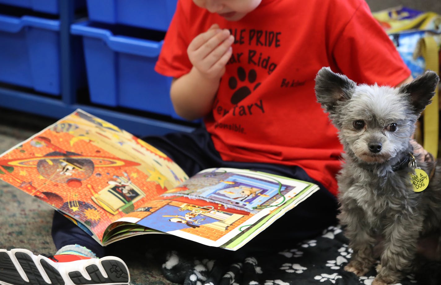 Luke Breese 7, read to Taz a therapy dog, and his owner Jennie Goelz at Cedar Ridge Elementary School.