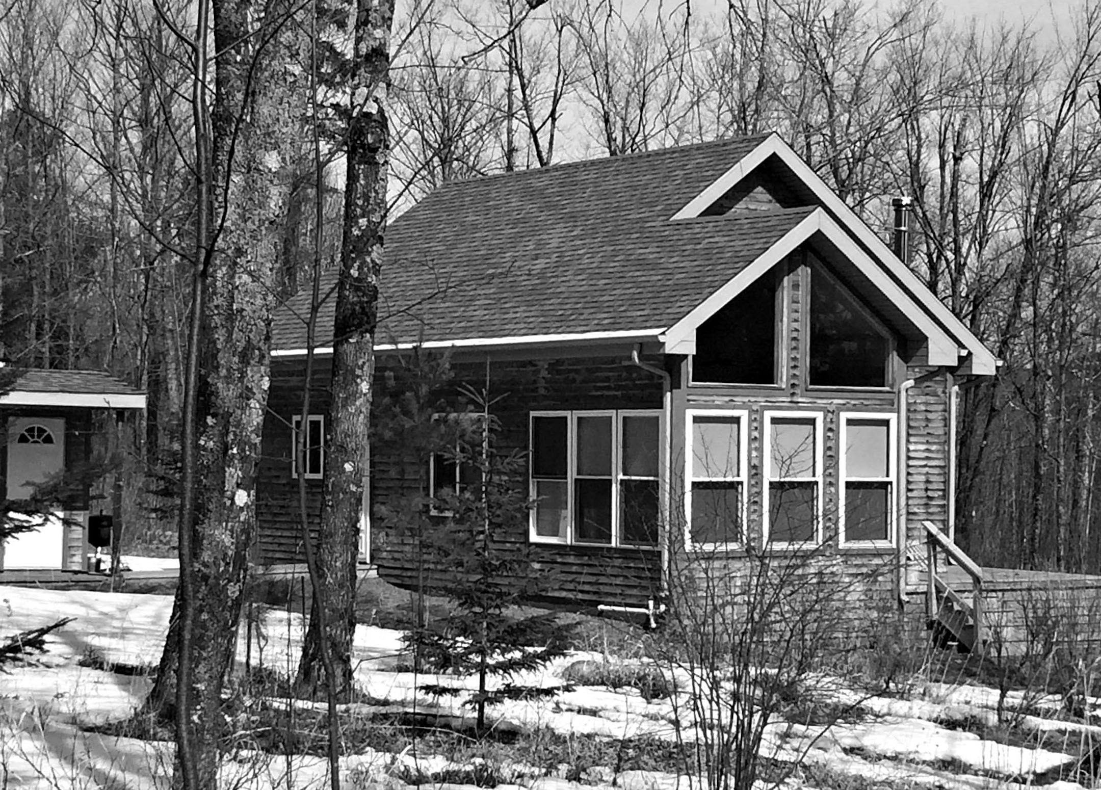 Maybe something subliminal was at work when the family bought a North Shore cabin near Finland, Minn.