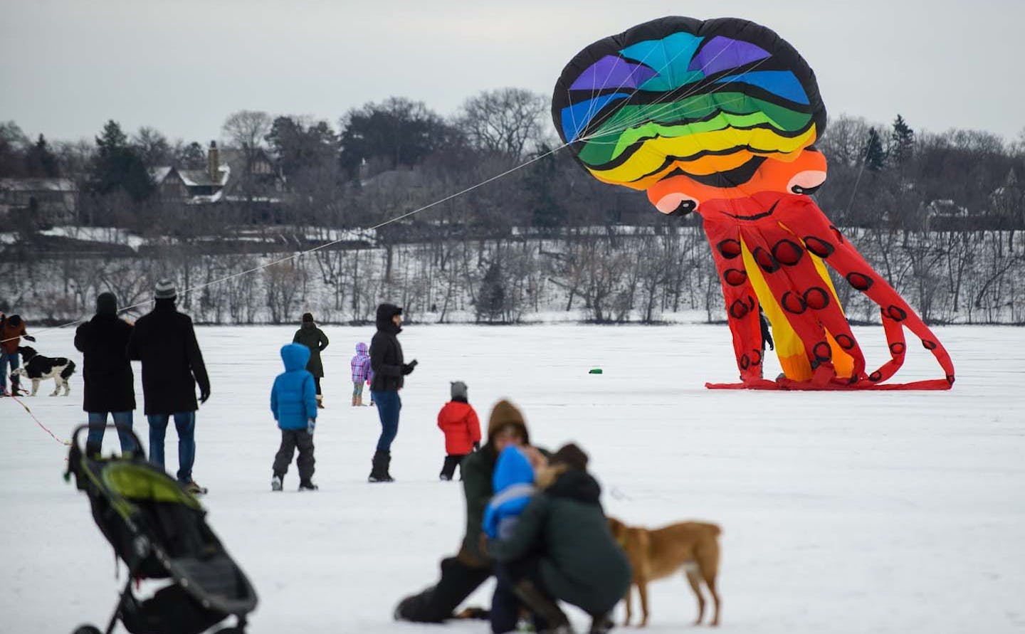 Lake Harriet Kite Festival. Provided