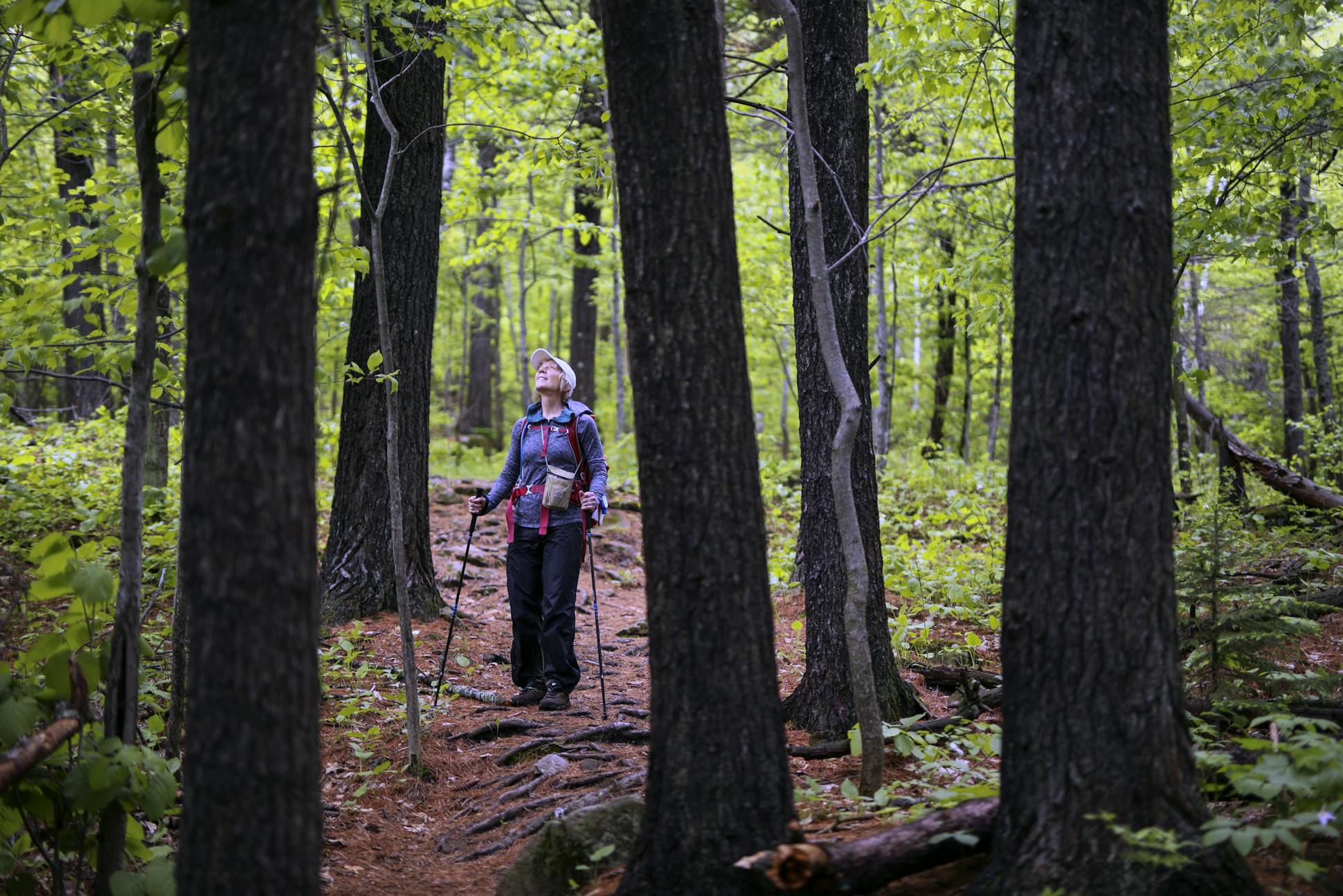 Just days into her thru-hike, Melanie Radzicki McManus paused to take in the beauty in the Magney-Snively Natural Area in Duluth.