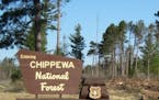 Entrance to the Chippewa National Forest.