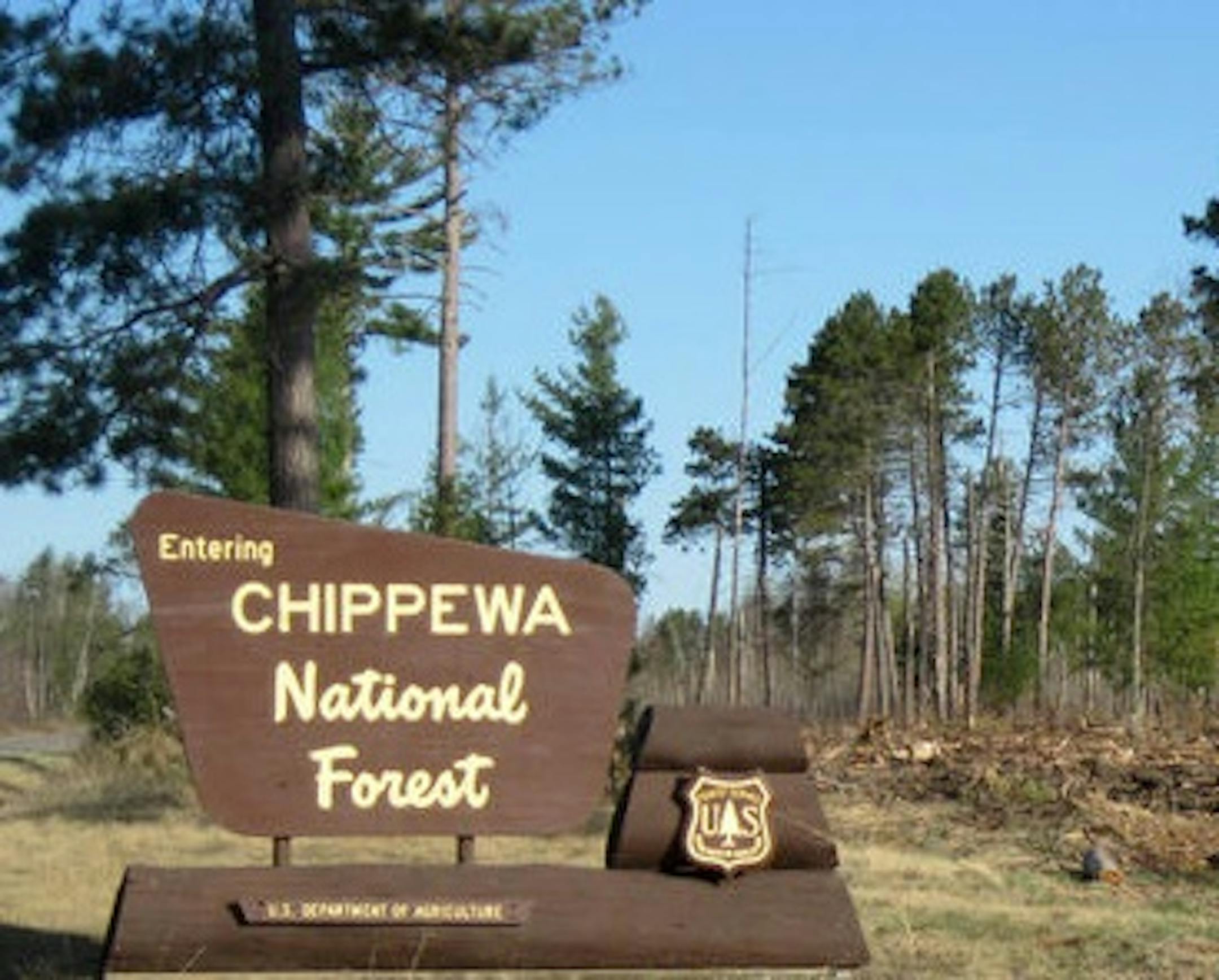 Entrance to the Chippewa National Forest.