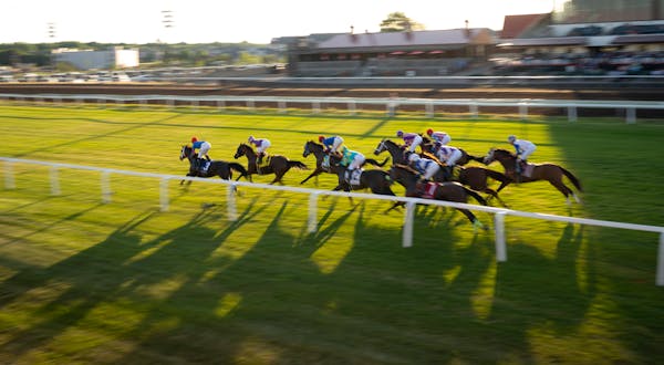 The pack barreled down the turf track at the start of the $100,000 Lady Canterbury Stakes turf race Wednesday evening, June 22 in the Mystic Lake Nort