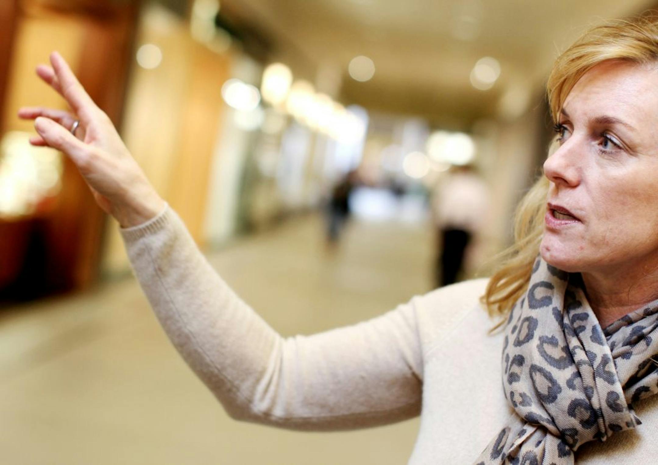 Galleria vice president Jill Noack talked about the various elements that make the upscale Edina mall unique.