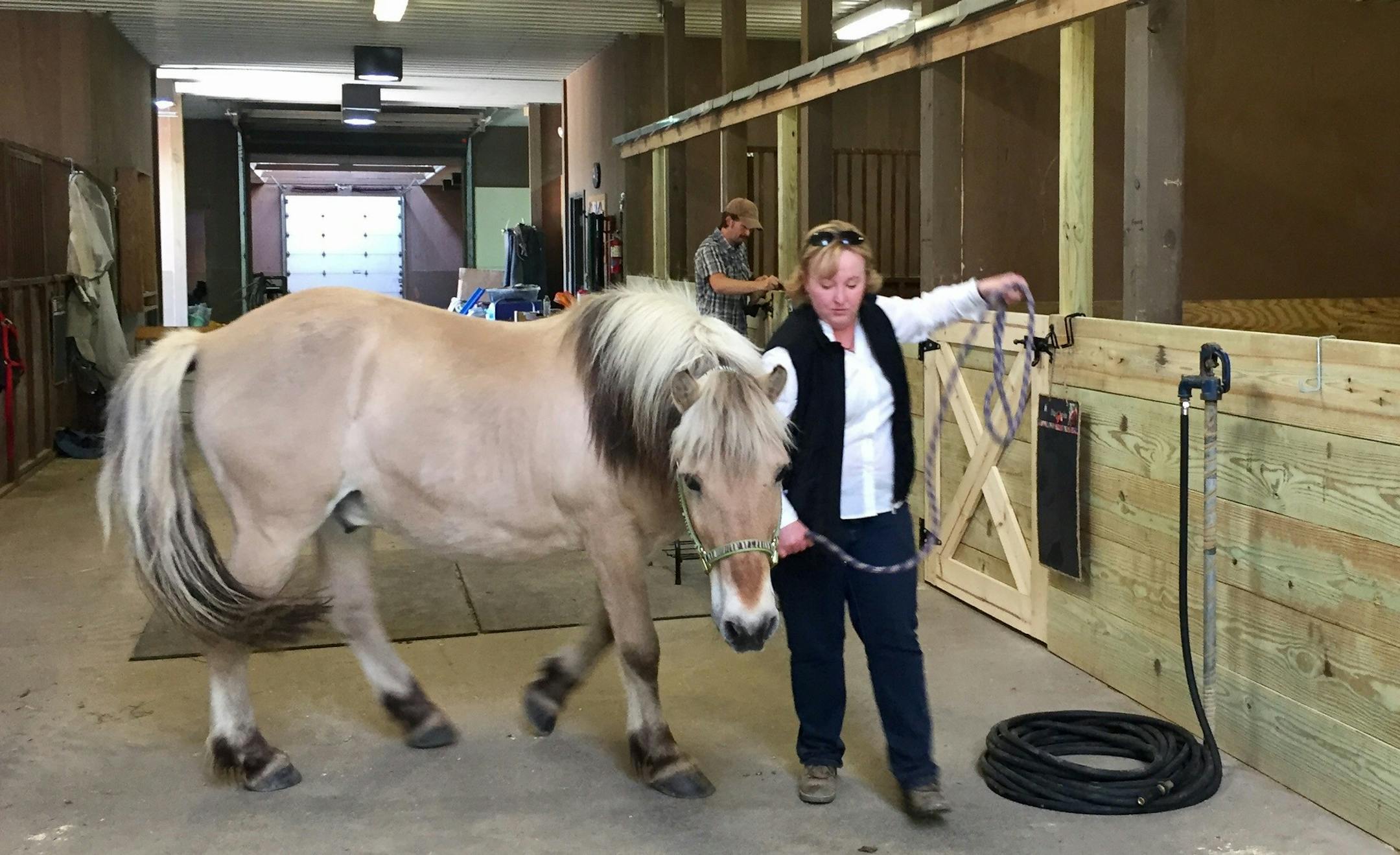 Mary Mitten, executive director of the We Can Ride therapeutic horseback riding program, greets Jasper, one of 12 horses at the nonprofit's new Medina location. After 35 years in Minnetonka, the nonprofit moved to Three Rivers Park District.