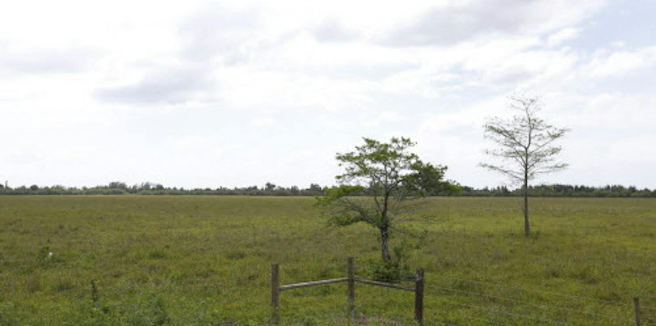 In this, Friday, May 26, 2017 photo, land is shown where developers are proposing American Dream Miami, a massive 200-acre project on the edge of the Everglades in bustling South Florida that would dwarf any other shopping mecca in North America. Miami-Dade County officials could vote this fall to approve it. (AP Photo/Wilfredo Lee)