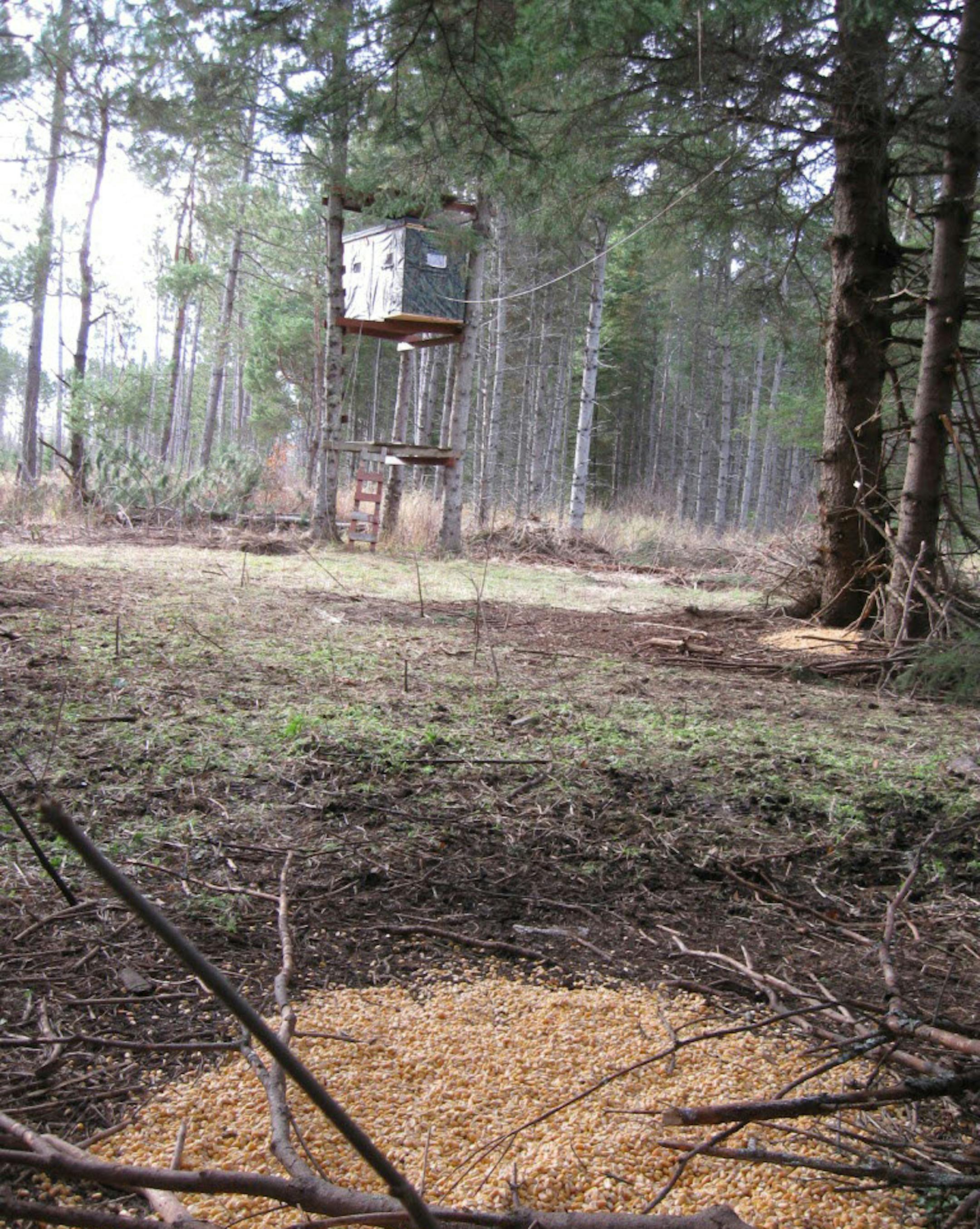 DNR photo Illegal baiting near a deer stand in this 2009 photo taken by a DNR conservation officer.