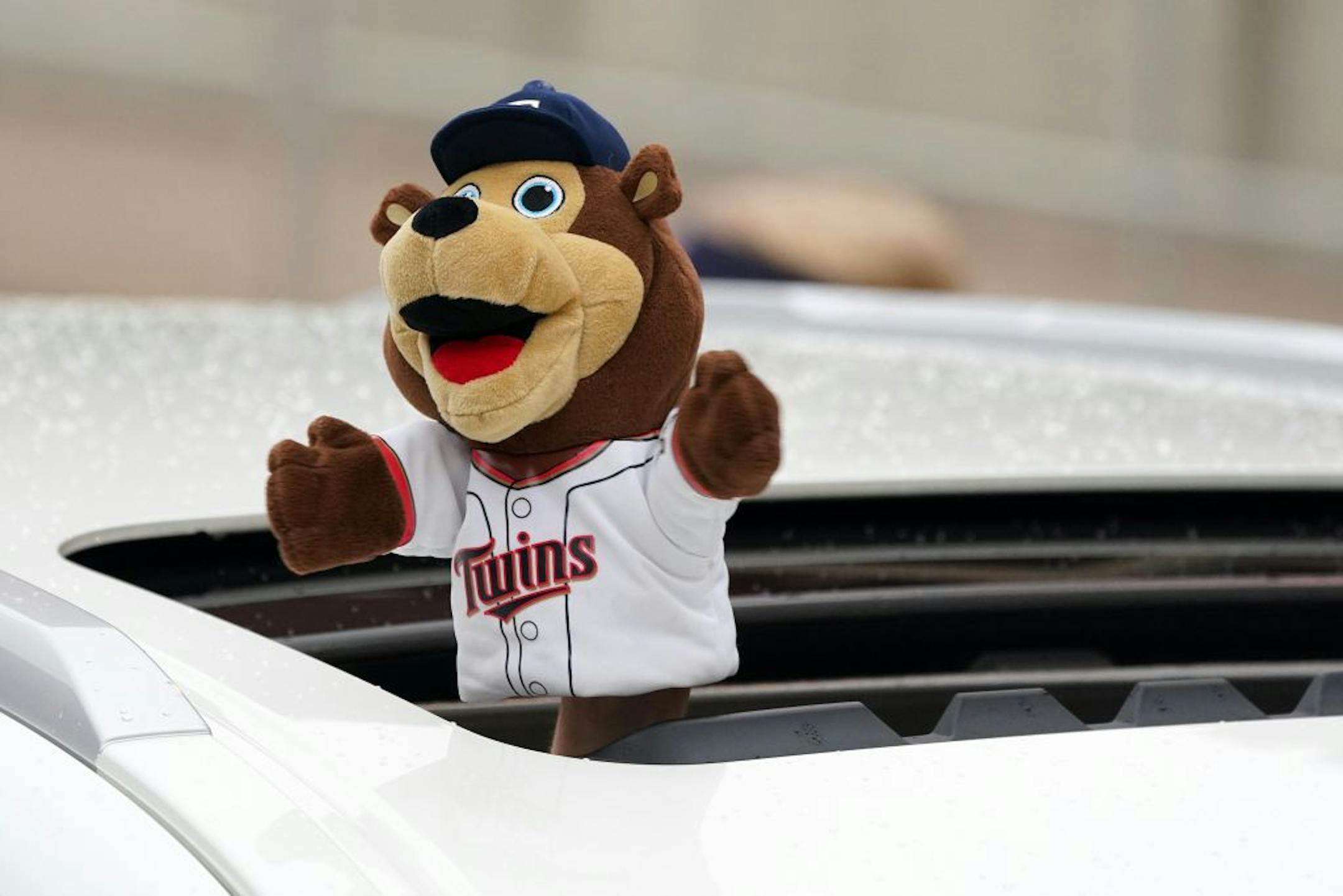 A Minnesota Twins fan held up a hand puppet of mascot T.C. Bear during the Fan Appreciation Drive-Through Parade ahead of their game against the Cincinnati Reds Saturday outside Target field.