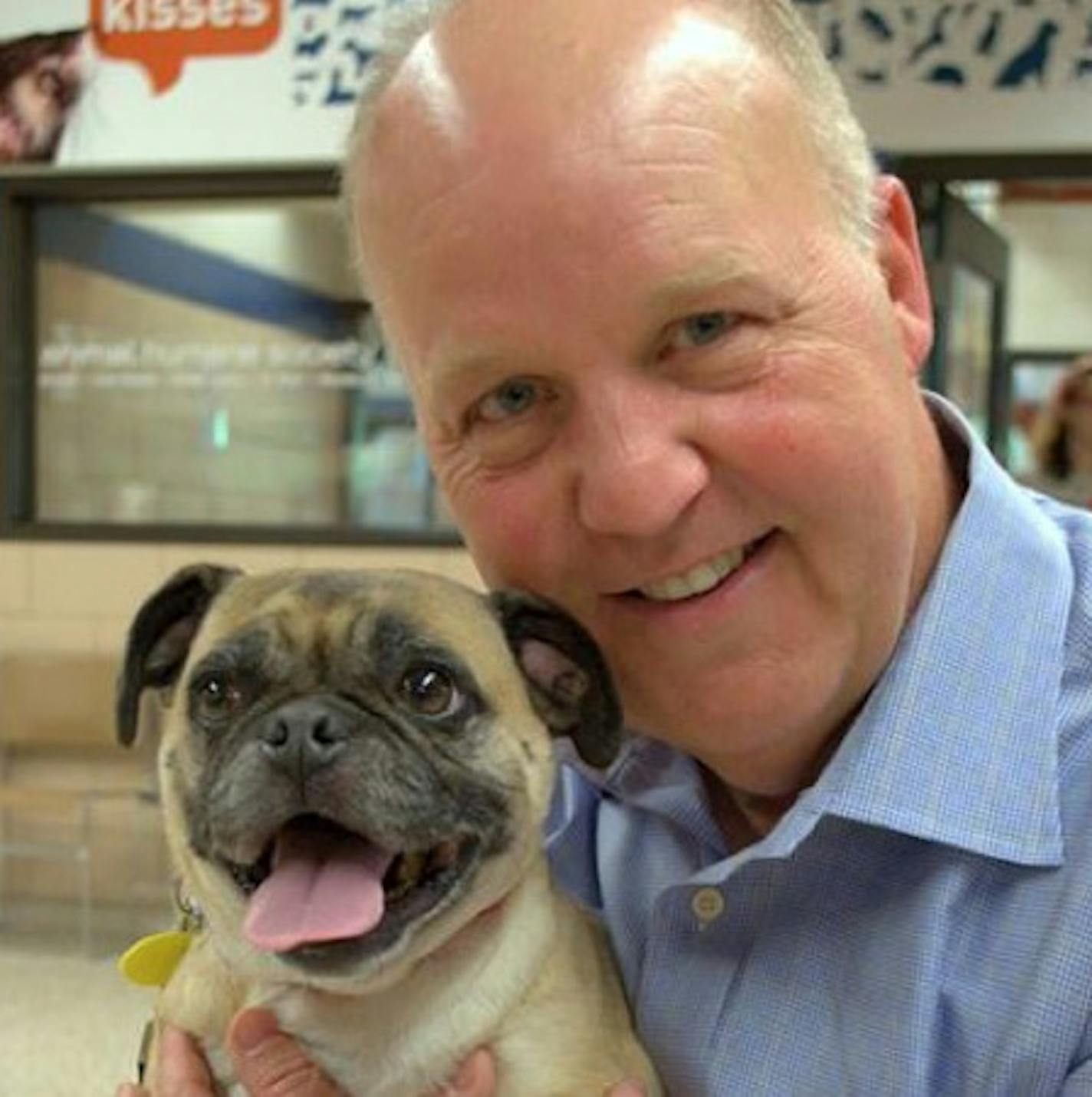 WCCO-TV&#x201a;&#xc4;&#xf4;s Pat Kessler with Roxy the puggle, whom he raced to adopt after she was featured during a TV spot.