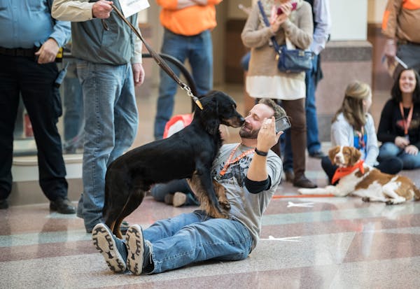 Austin Kaus got a surprise kiss from a dog as he did a live stream for South Dakota Tourism of the "Dog Parade'' that kicked off the Pheasant Fest and