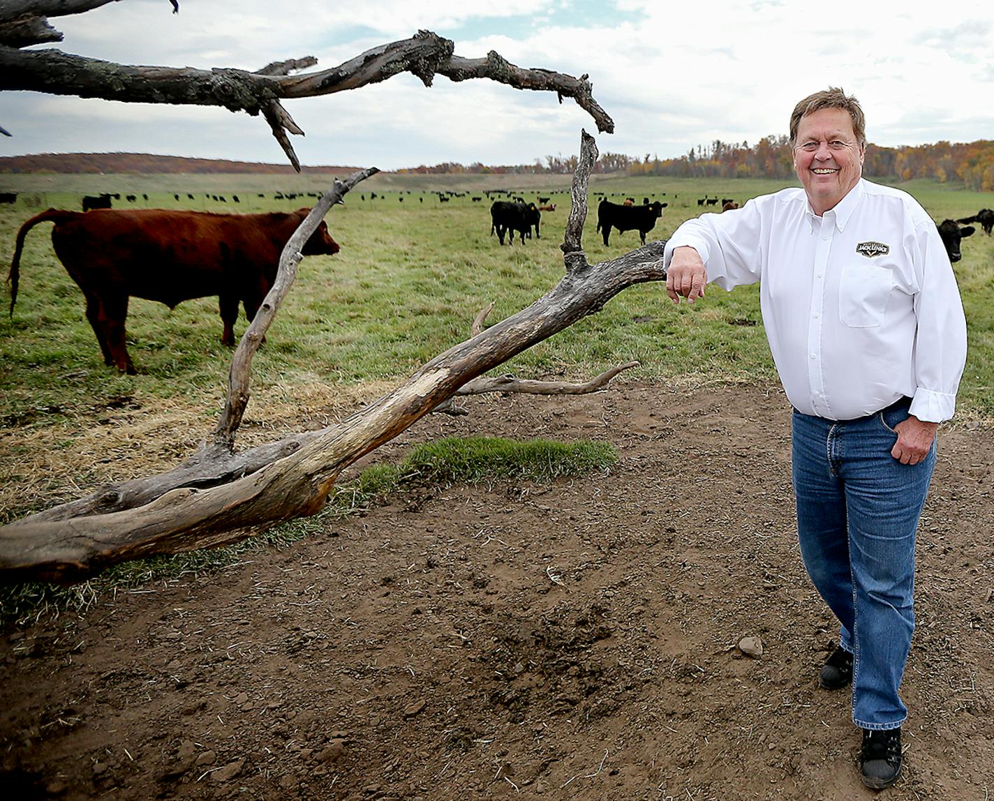 Above, Jack Link in a field in Minong, Wis., which is about 140 miles northeast of Minneapolis, where he started his company about 30 years ago. Jack Link&#x2019;s controls about 60 percent of the U.S. jerky market.