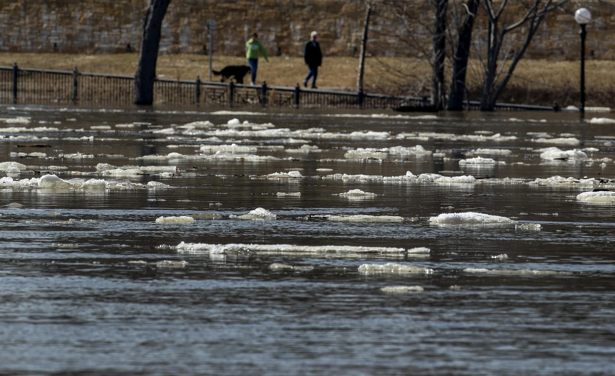 Chunks of ice flowed down the Mississippi river past downtown St. Paul and Harriet Island Regional Park on Monday afternoon.
