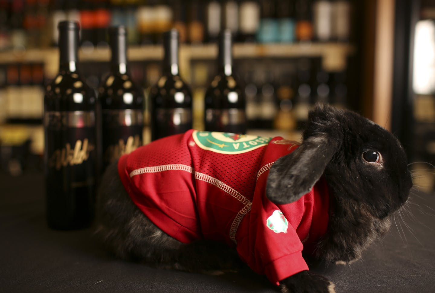 The Minnesota Wild's Zenon Konopka is an entrepreneur off the ice with his own ZK28 wine label. Zenon Konopka with his partner, Michelle Finley and the wine label's spokesrabbit, Hoppy, Tuesday afternoon, October 28, 2013 at Top Ten Wine and Spirits in Woodbury. ] JEFF WHEELER &#x201a;&#xc4;&#xa2; jeff.wheeler@startribune.com