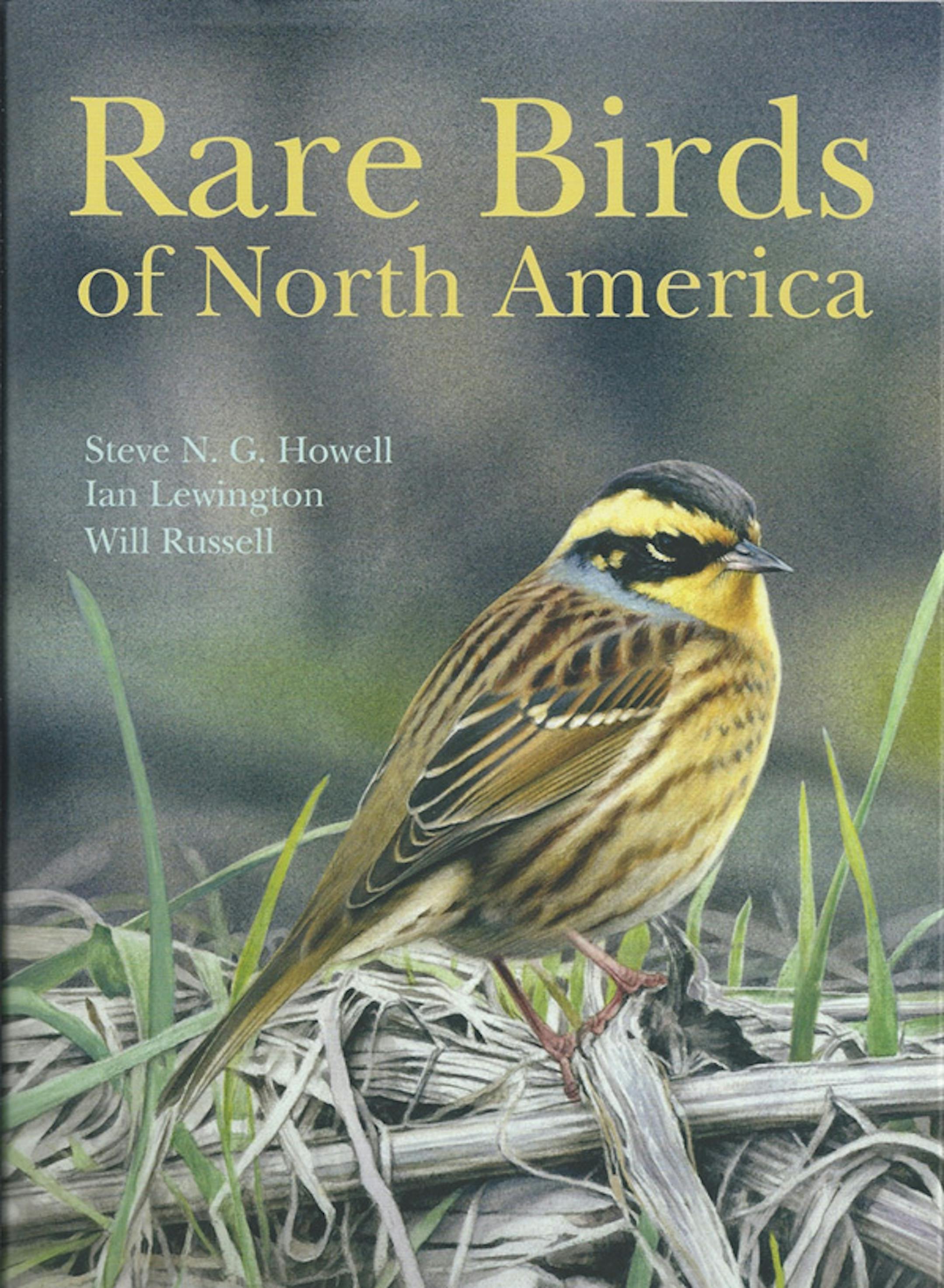 "Rare Birds of North America"