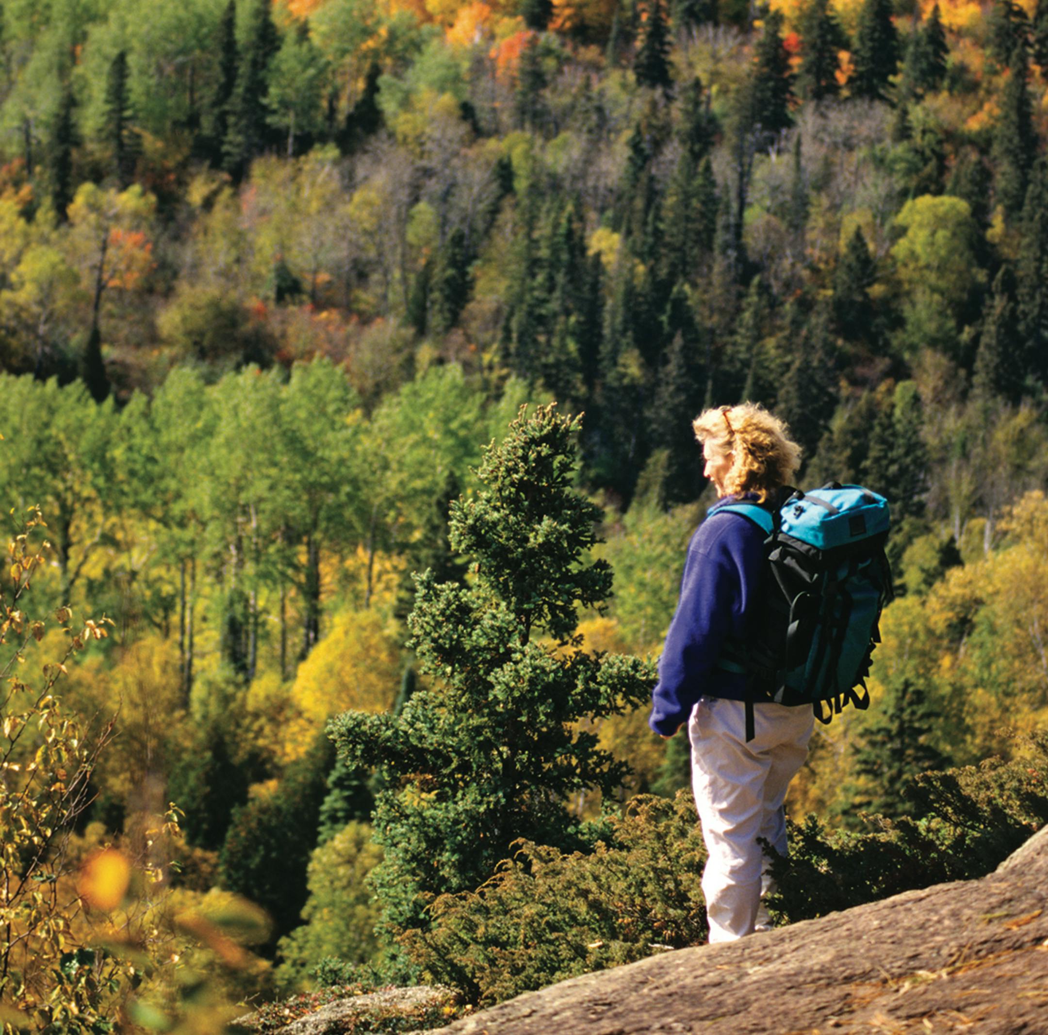 Paul Stafford
superior hiking trail at Oberg mountain, Grand Marais.