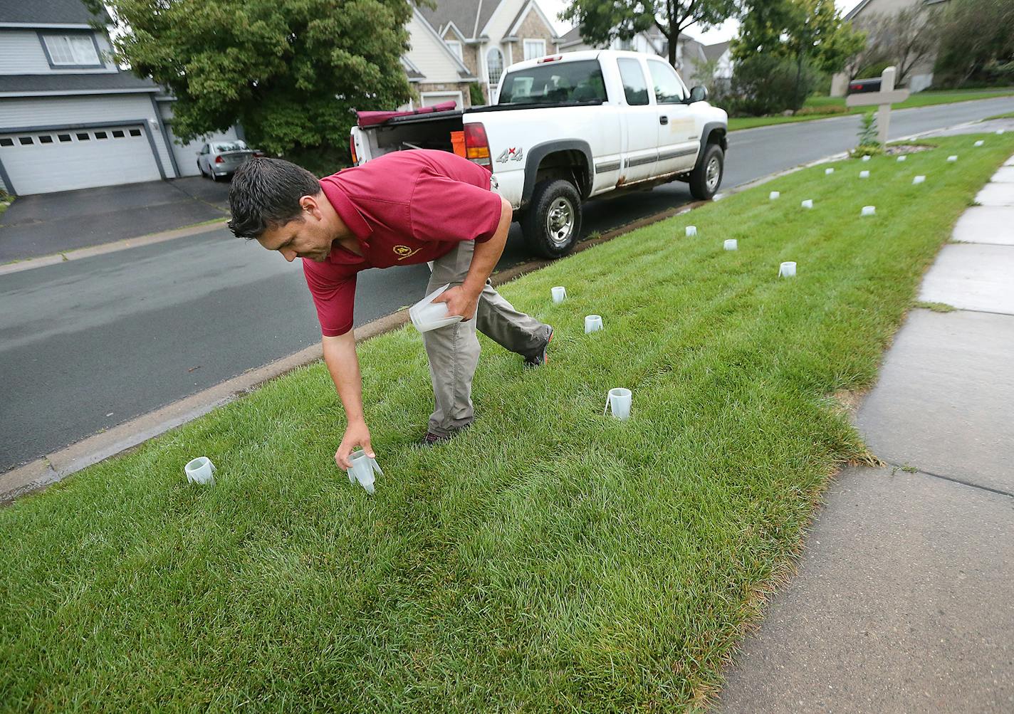 Jonah Reyes, a research scientist at the University of Minnesota, placed cups on a residents lawn to measure water from their irrigation system, Friday, August 19, 2016 in Rosemount, MN. Compared to the winter months, water use in the metro area surges over the summer, doubling in some places in the last 20 years. The Met Council and U of M Extension suspect bad lawn-watering habits are largely to blame. They've been conducting surveys and visiting neighborhoods over the last few months, studyin