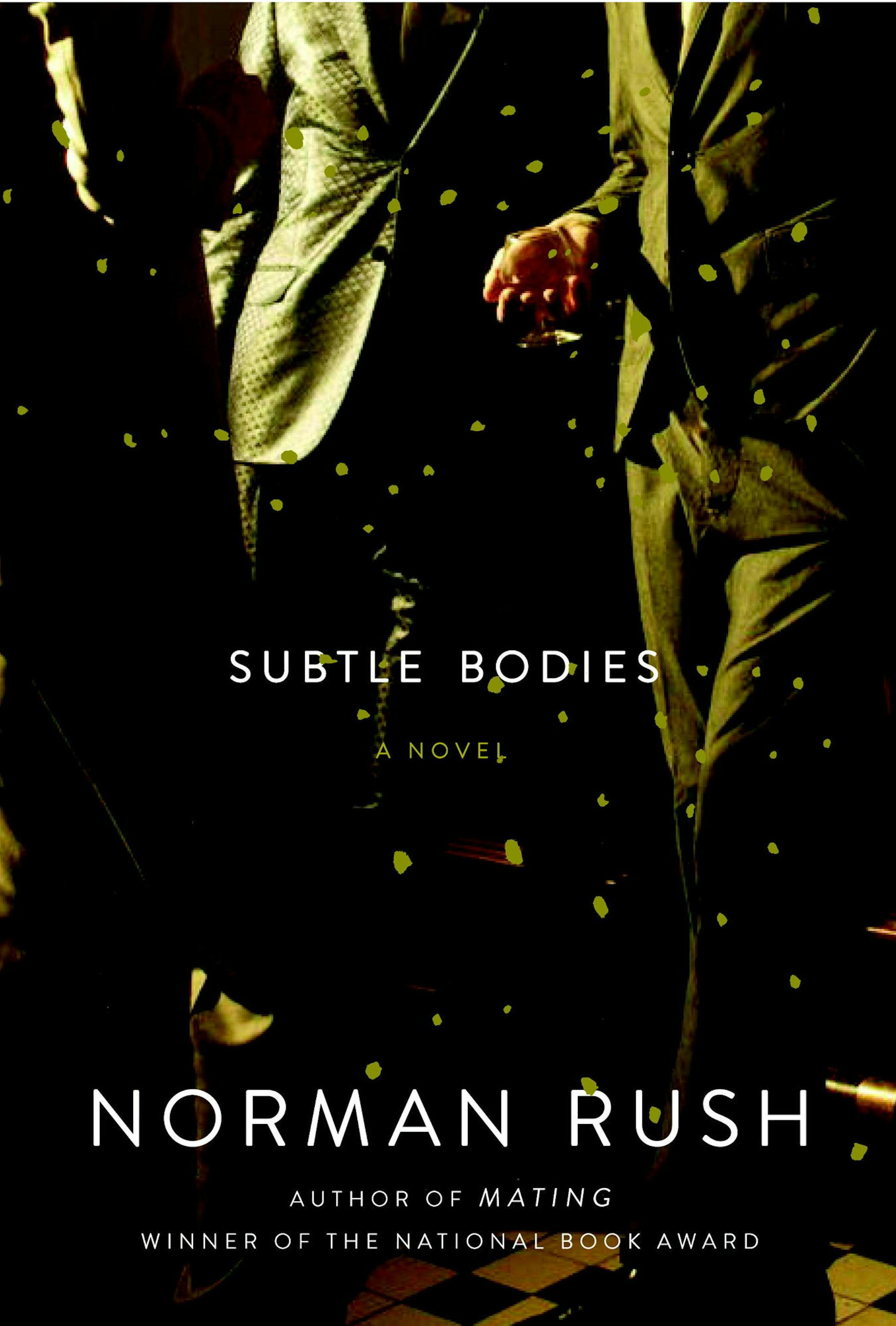 "Subtle Bodies," by Norman Rush