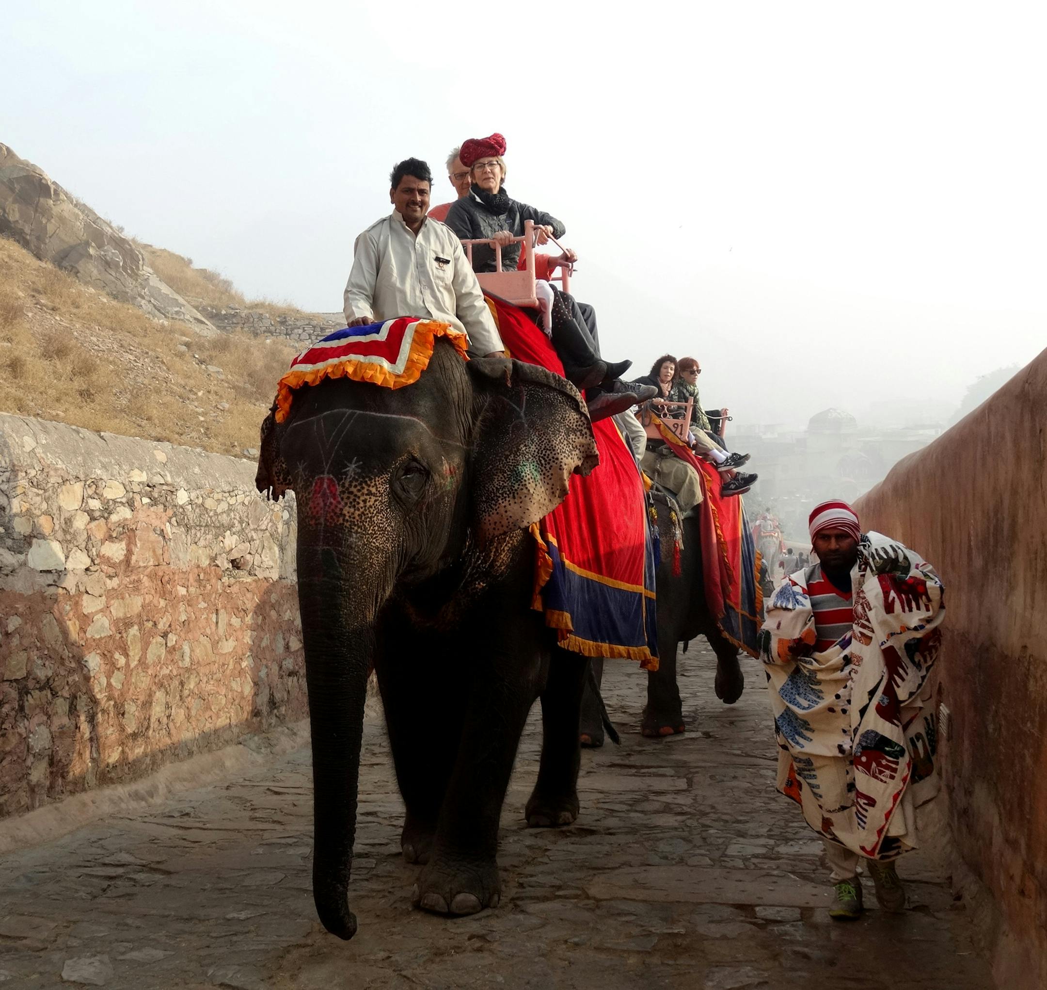 TripAdvisor has stopped selling tickets to attractions that feature wild animals in captivity, such as elephant rides.