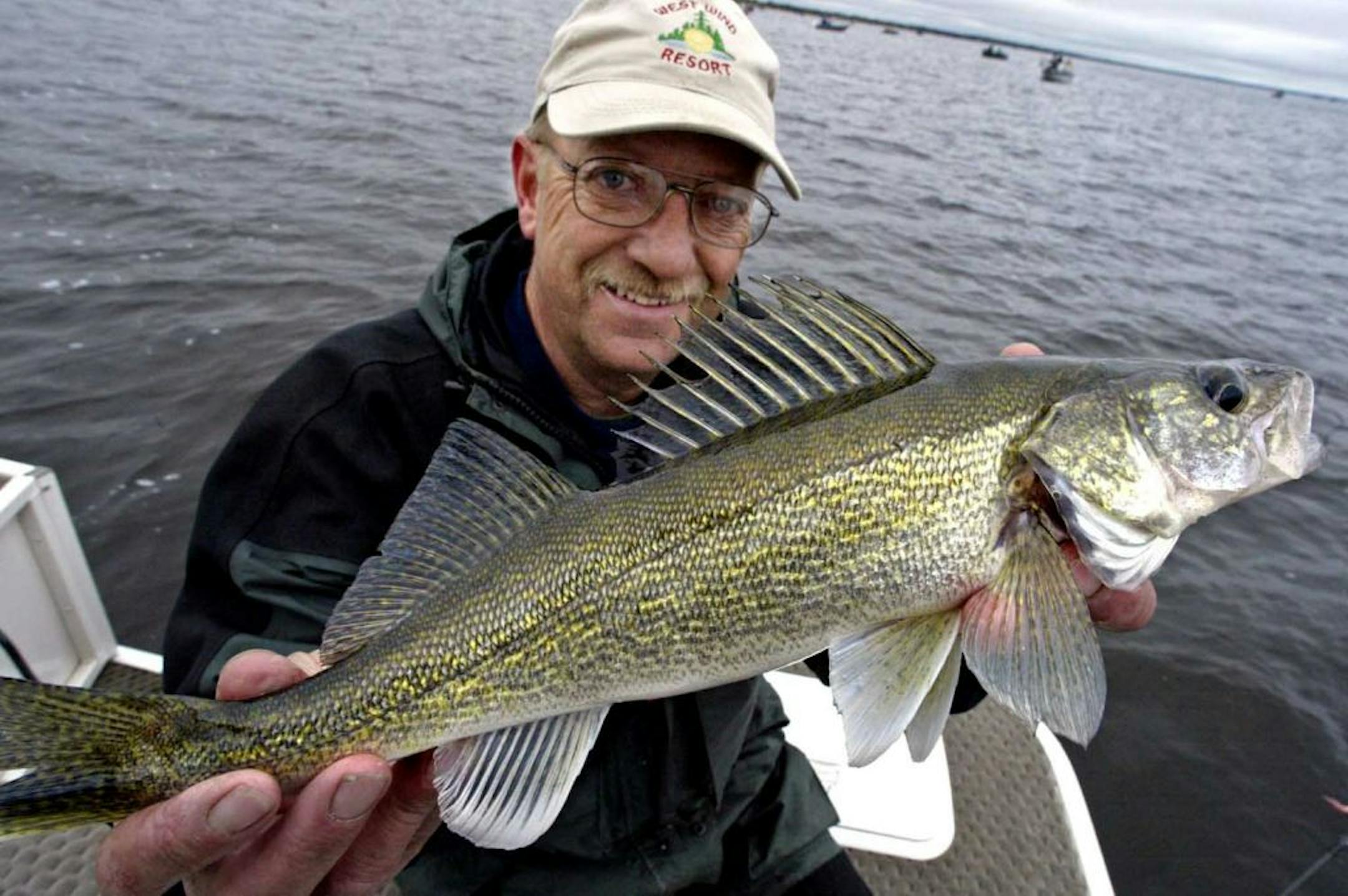 Tim Waldo, owner of West Wind resort in Waskish, holds up a 17-inch walleye that he caught on Upper Red Lake in spring 2006, when walleye angling was reopened after a seven-year closure.