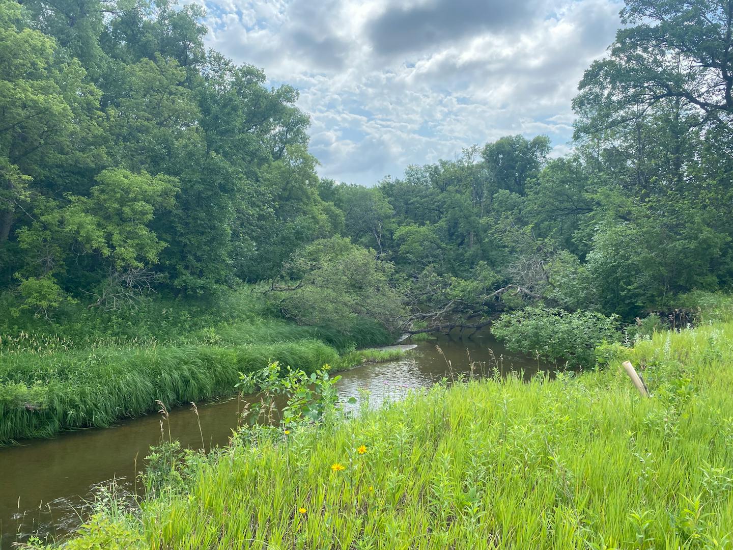 White Earth Reservation tribal college plants a farm, hopes for food independence