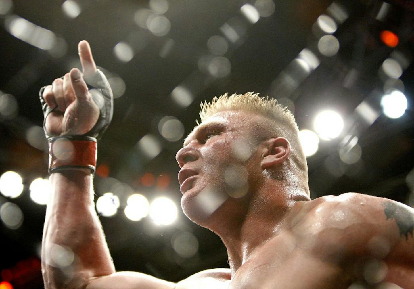 Brock Lesnar in 2009