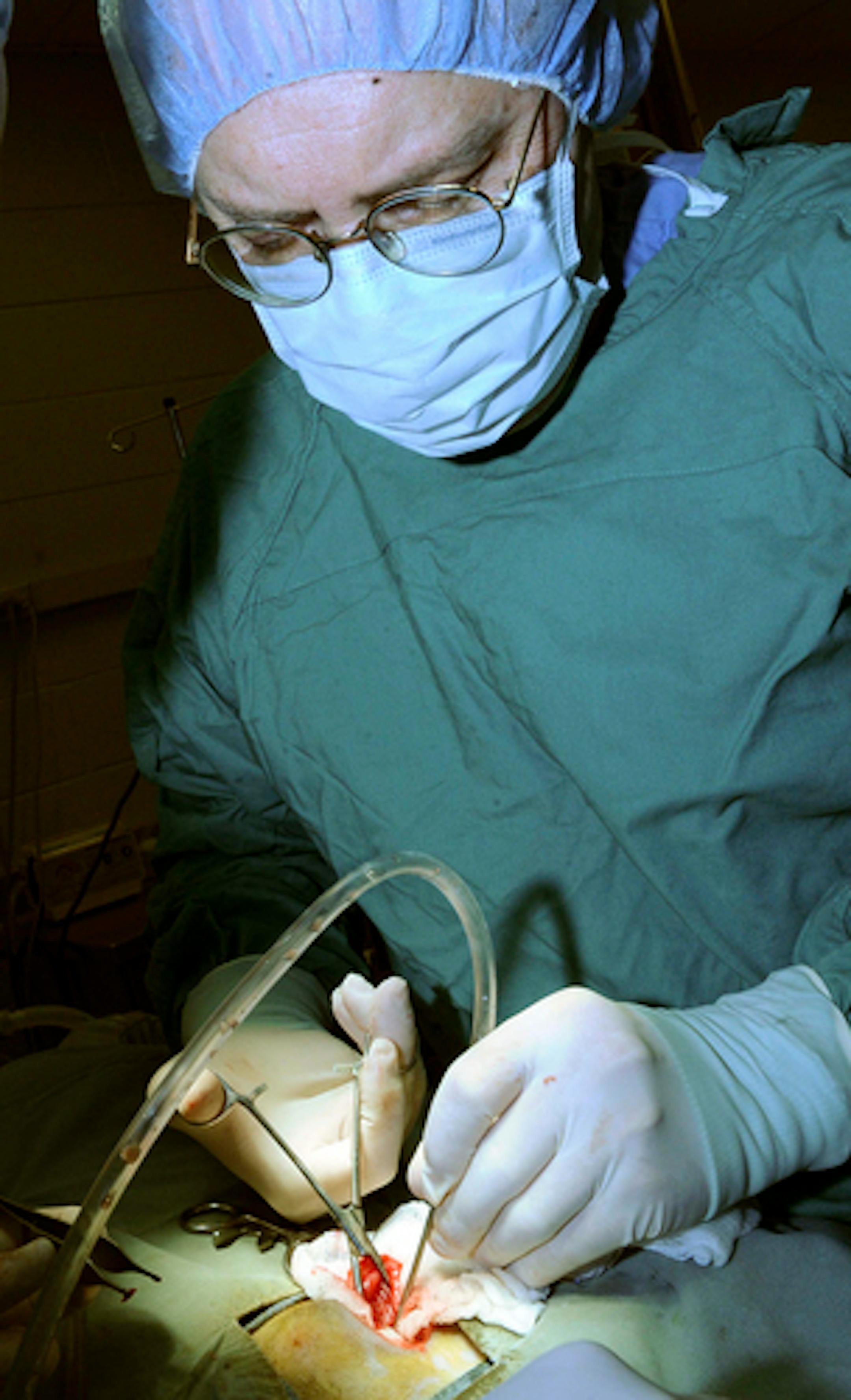 ** ADVANCE FOR WEEKEND OF FEB. 14-15 ** Michael Pavletic, DVM, rights performs surgery on cat called Jynxie to remove stones from the bladder, Tuesday, Feb. 10, 2009 at MSPCA's Angell Animal Medical Center in Boston. The 58-year-old Pavletic is known as a pioneer in reconstructive animal surgery and is so skilled at saving severely sick and injured animals he is sought out by worried pet owners from around the world. (AP Photo/Lisa Poole)
