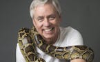 Carl Hiassen's new book "Squeeze Me" features a python.