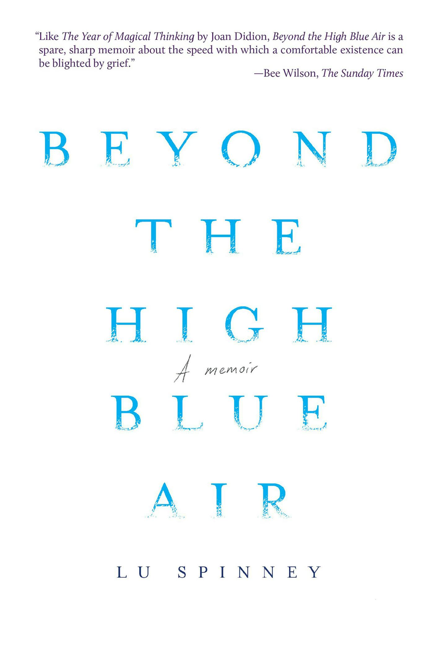 "Beyond the High Blue Air" by Lu Spinney