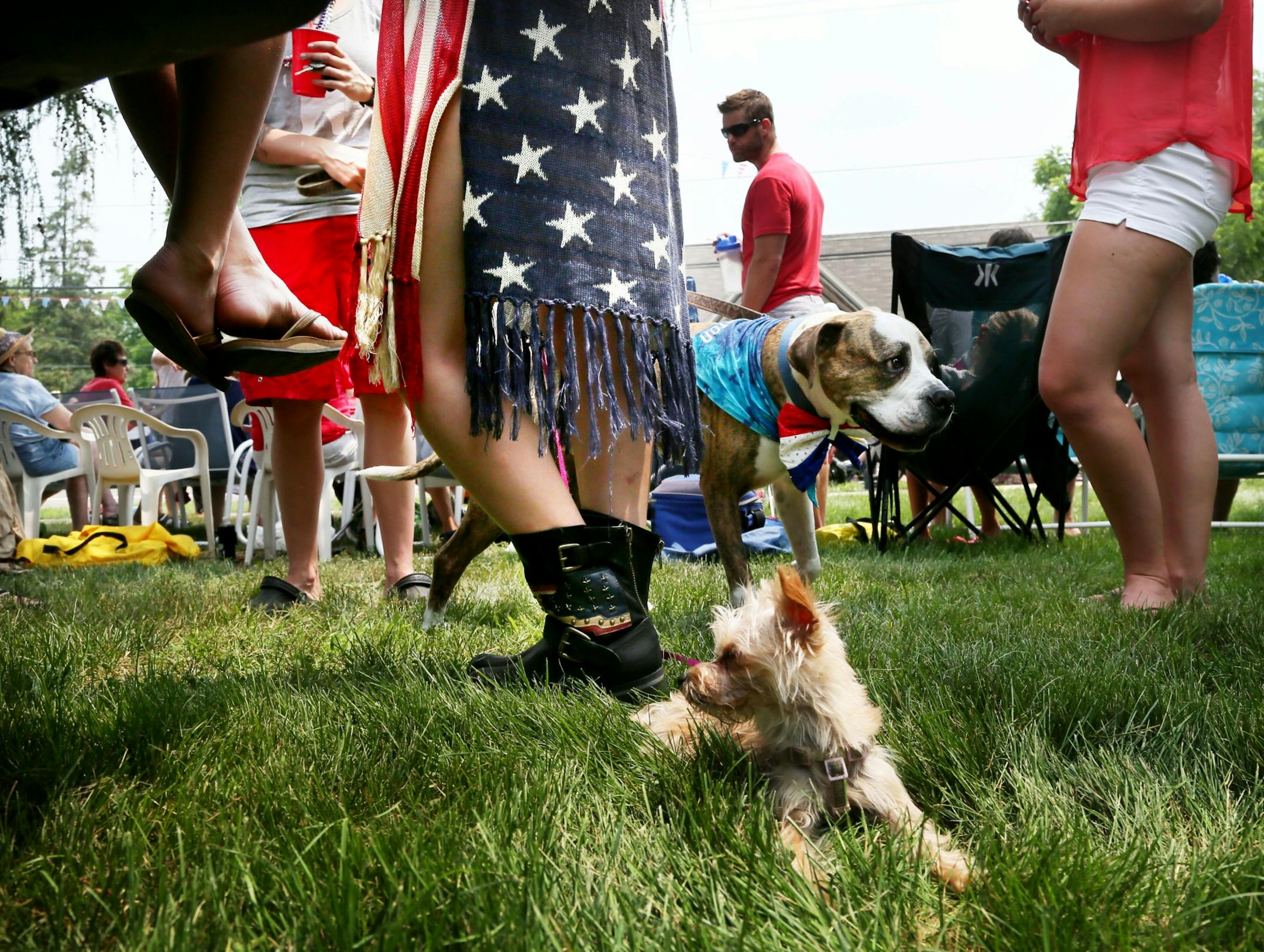 Humans and canines alike sported festive outfits for the July 4th parade in downtown Afton, MN, Saturday, July 4, 2015.