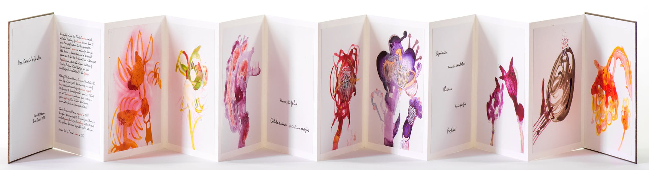 "Mrs. Darwin‚Äôs Garden", Book One by Vesna Kittelson a. water based paints (acrylic) and variety of pencils b. 22 pages c. 18 images d. 82 inches long