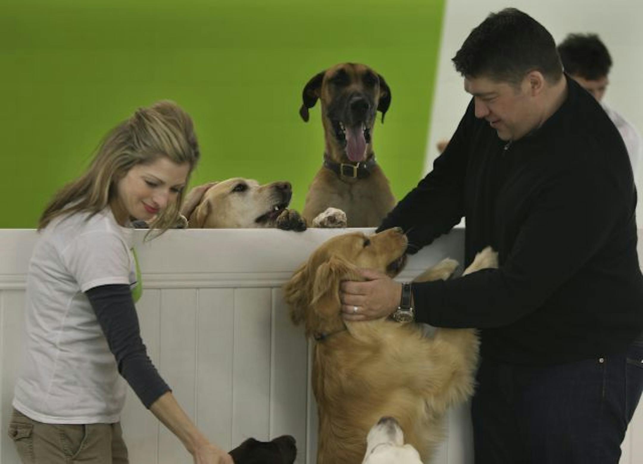 John Sturgess and his wife, Stacey, visited the day care area of the Adogo Pet Hotel, which opened Feb. 1. The facility offers overnight boarding as well as day care, grooming and training.