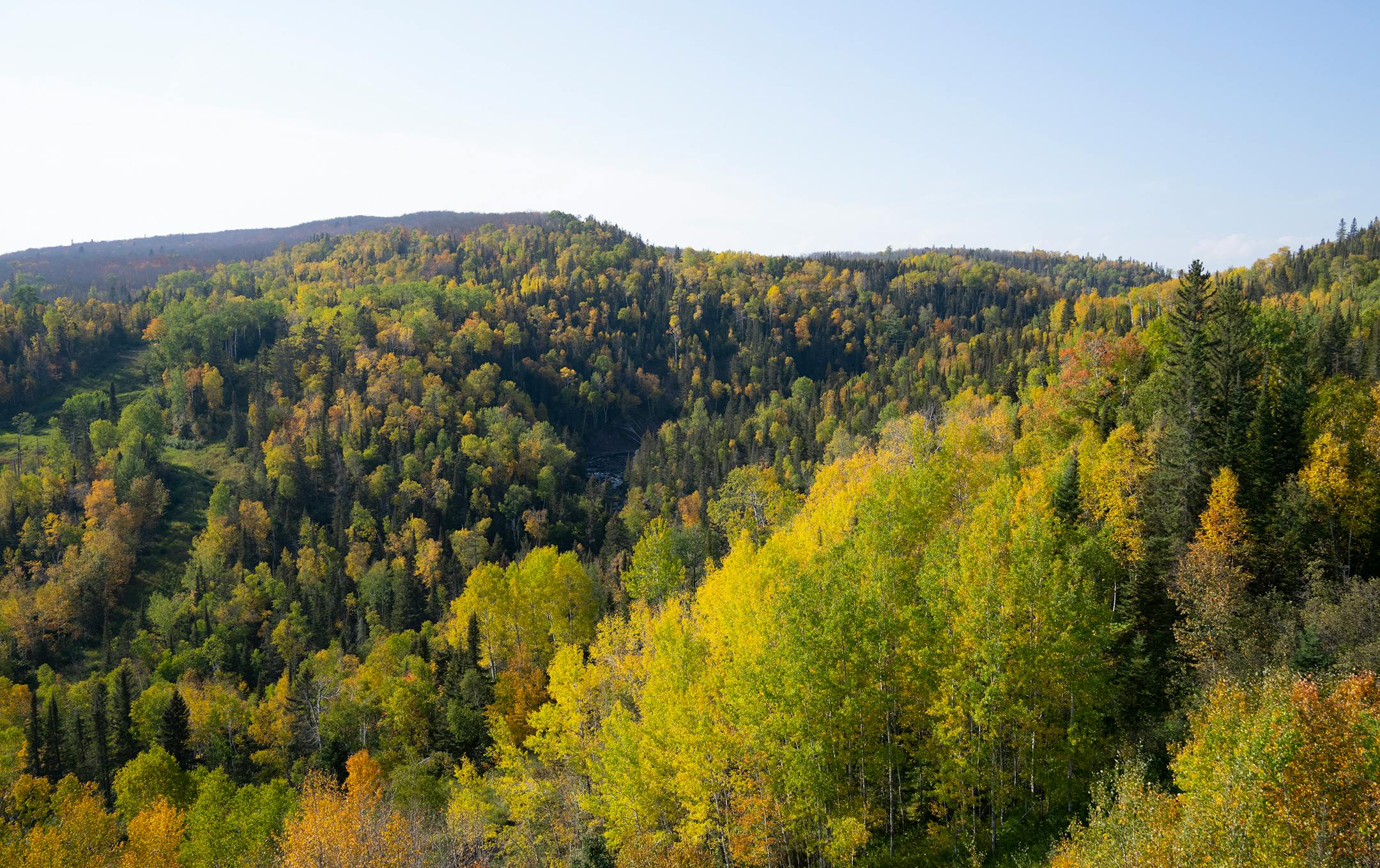 Trees begin to change colors in the Lutsen Mountains as seen from the Summit Chalet in Lutsen.
