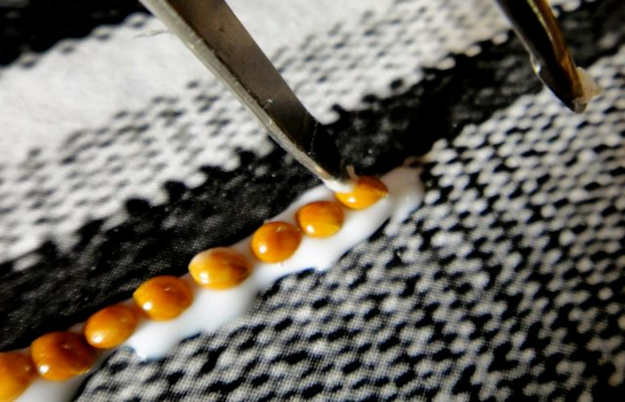 Darlene Thorud puts seeds into place using the tip of a tweezer with glue on the end.