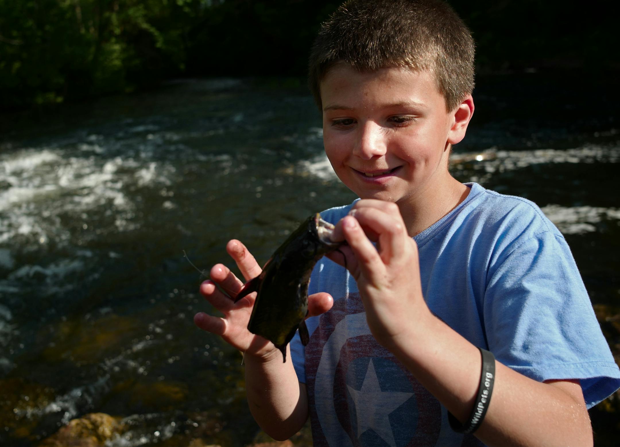 George Heinen,8, showed a catfish he and his friends cut up earlier for bait. He enjoys coming to his favorite fishing spot.] A secluded fishing hole and cascade in Edina has been a treasured spot not just for the community, but for casual fishers, kayakers and nature lovers in the metro area. However, a $4 million renovation of the parklands would eliminate those rapids, threatening that ecosystem.Richard Tsong-Taatariiïrichard.tsong-taatarii@startribune.com