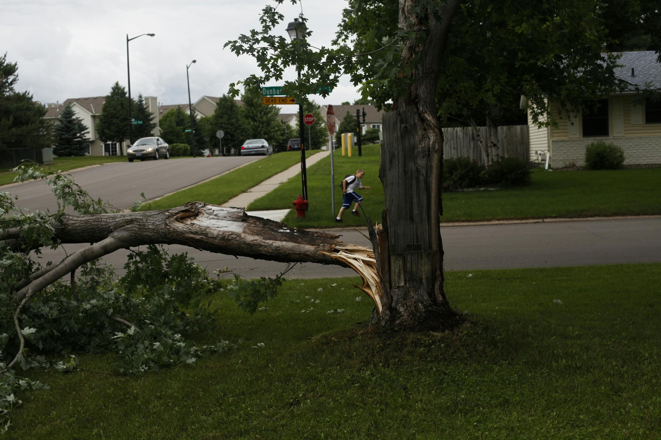 Strong winds ripped a branch from a tree at 15122 Dunbar Court in Rosemount Tuesday afternoon. Lightning was the likely cause of an Eagan house fire.