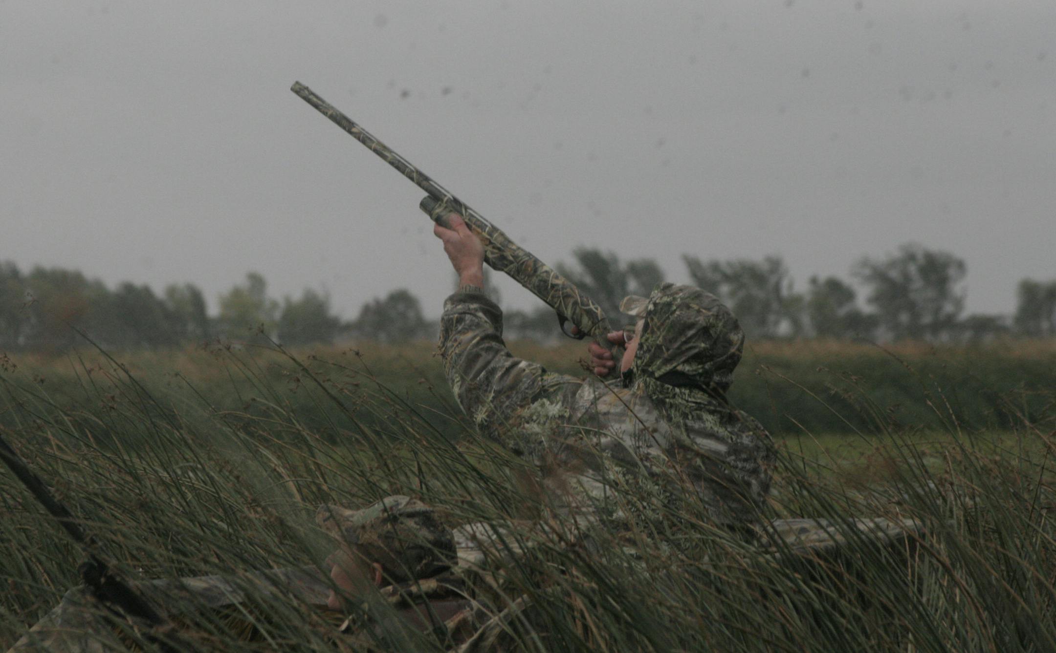 Fred Froehlich, 58, of Nicollet, Minn., fires at a duck that buzzed his decoys in Swan Lake, Minn., Saturday, Sept. 29, 2007. Watching is partner Dan Kirchner, 51, of Mankato. Flocks of ducks fly in the background. The staccato of gunshots crackled like thunder around the lake, a barrage that didn't let up for an hour. It sounded more like a shooting range than opening day of Minnesota's duck season. (AP Photo/Star Tribune, Doug Smith) ORG XMIT: MNMIT101 ORG XMIT: MIN2013092618433408