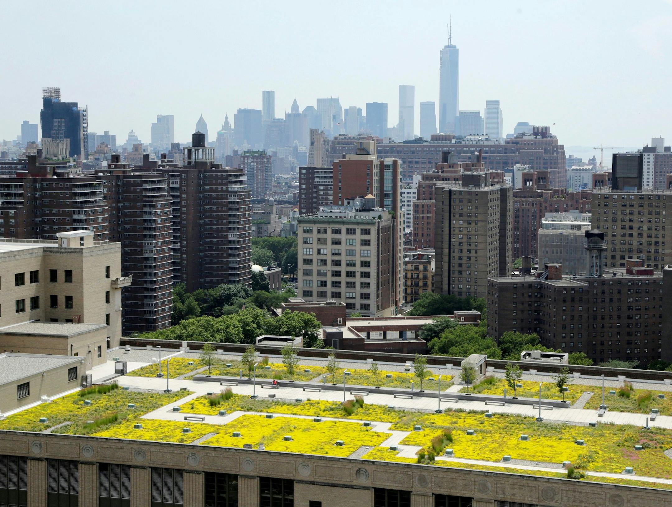 A rooftop garden with grasses and trees covers most of the surface area of a building in New York's midtown, Monday, June 24, 2013. The lower Manhattan skyline and One World Trade Center are in the distance. (AP Photo/Mark Lennihan) ORG XMIT: OTKNYML301