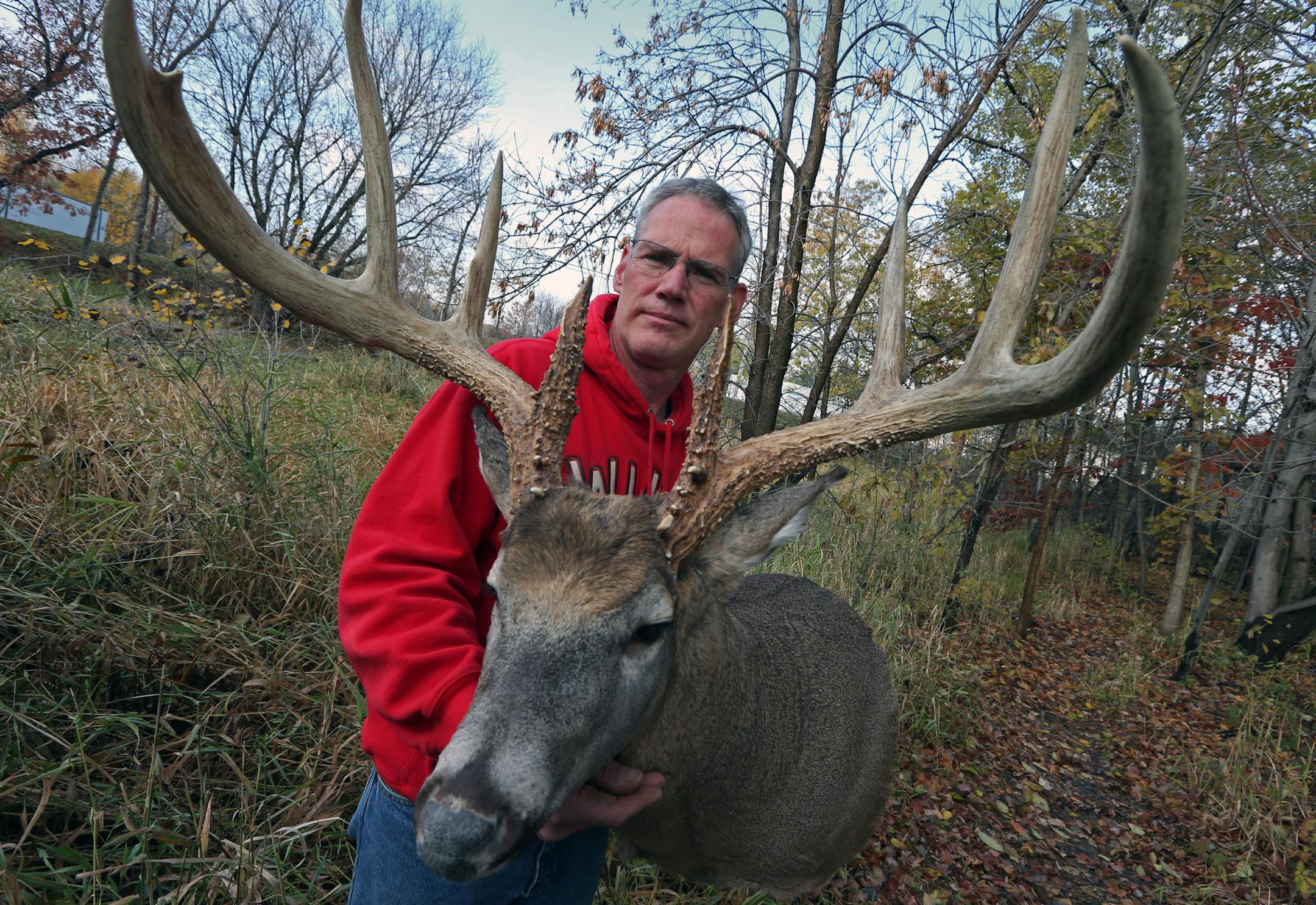 Taxidermist Chris Wallace is putting the finishing touches on a mount with replica antlers cast from the famous 8-point, world-class, antlers seized from a poacher a couple years ago in southeastern Minnesota. They are the world's largest 8 point set of whitetail antlers, and the real ones are worth a small fortune. So the DNR had seven copies made, which will be shown around the state.] Bruce Bisping/Star Tribune bbisping@startribune.com Chris Wallace/source
