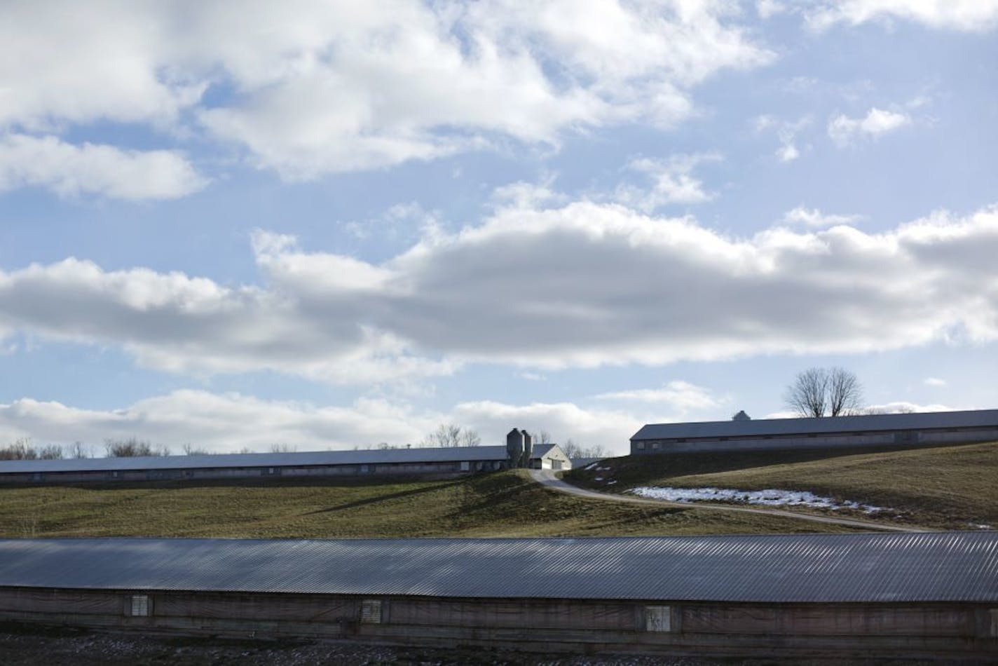 Ralph and Cyrilla Senninger�s farm off State Road 164 between Celestine, Ind. and Jasper, Ind. was one of the farms affected by the avian flu outbreak in the Dubois, Ind. area. The Senninger�s own the three barns at the top of the hill and said the turkeys in the top, left barn tested positive for the flu.