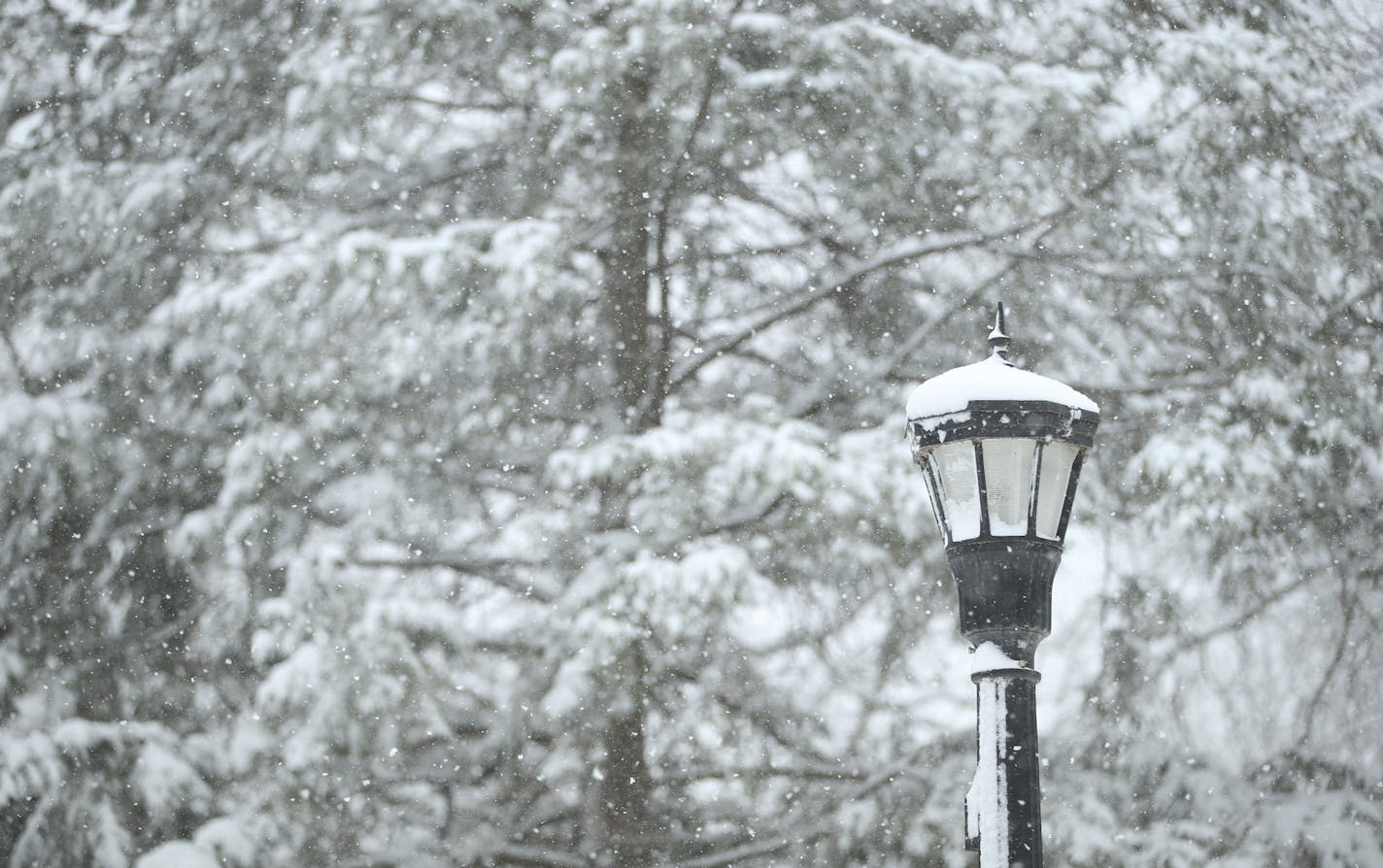 An older type of Minneapolis residential streetlight.