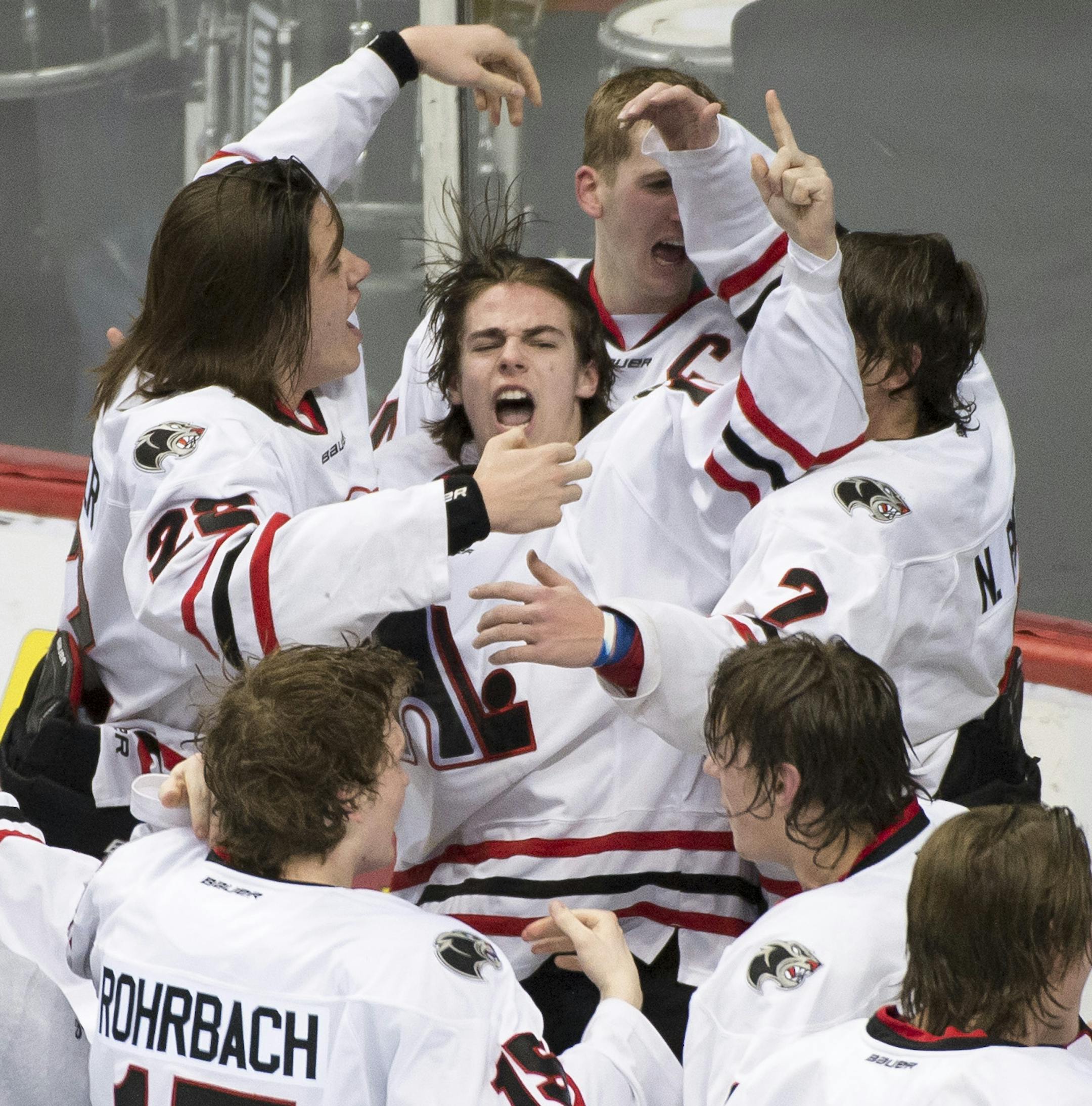 Lakeville North players, including defender Adam Duchon (10), center, celebrate their 4-1 victory over Duluth East in the Class 2A boys' hockey championship game on Saturday night. ] (Aaron Lavinsky | StarTribune) Duluth East plays Lakeville North in the Class 2A boys' hockey championship game on Saturday, March 7, 2015 at Xcel Energy Center.
