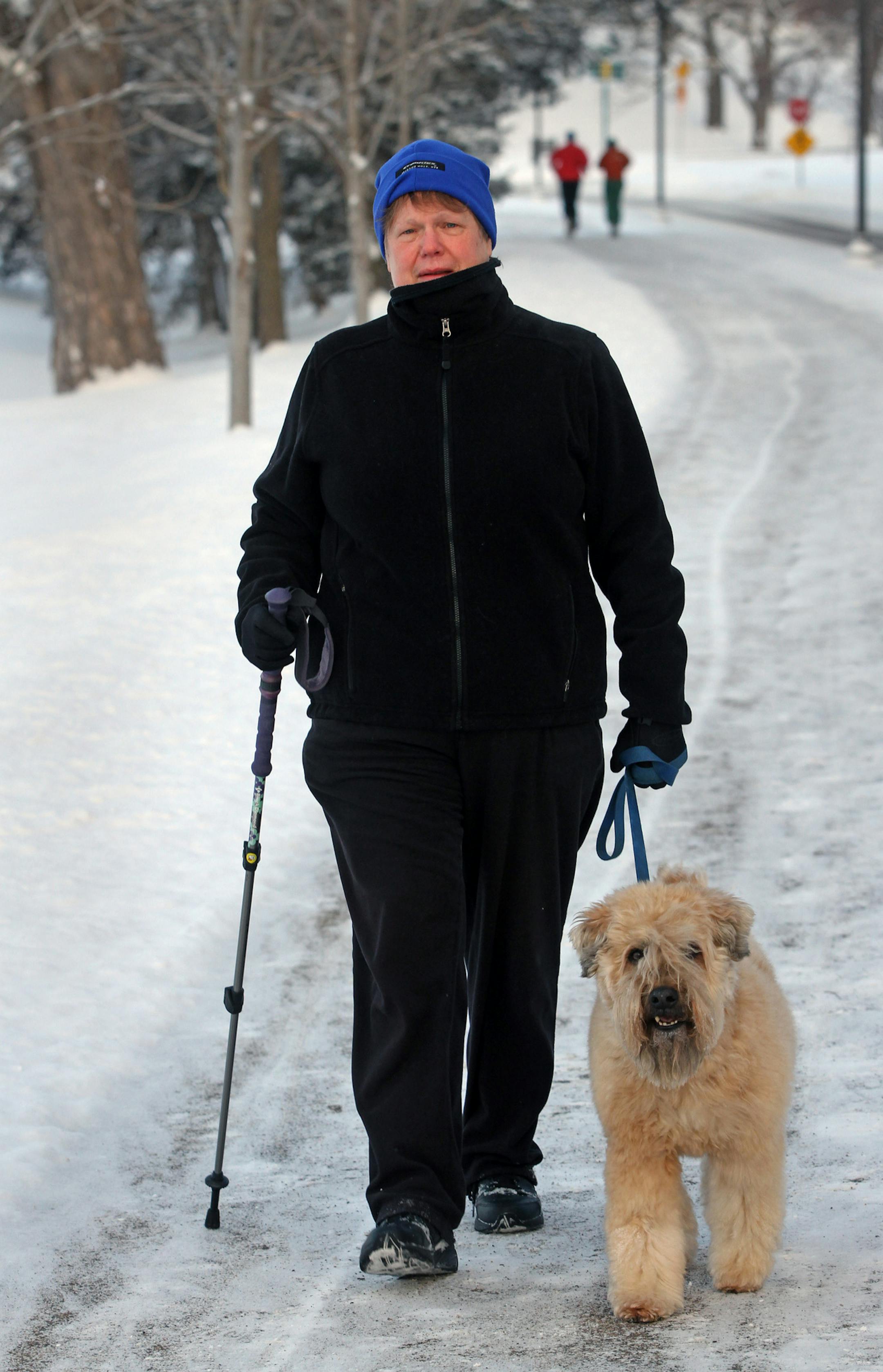 63 year old Jan Clymer of Minneapolis, walked the of Lake of the Isles parkway with her dog Murphy, a Wheaton Terrier on 2/2/13. Clymer walked for years (with her dogs), but after back problems and surgeries she is now recovering, and working her way back to daily walks.] Bruce Bisping/Star Tribune bbisping@startribune.com Jan Clymer, Murphy/source.