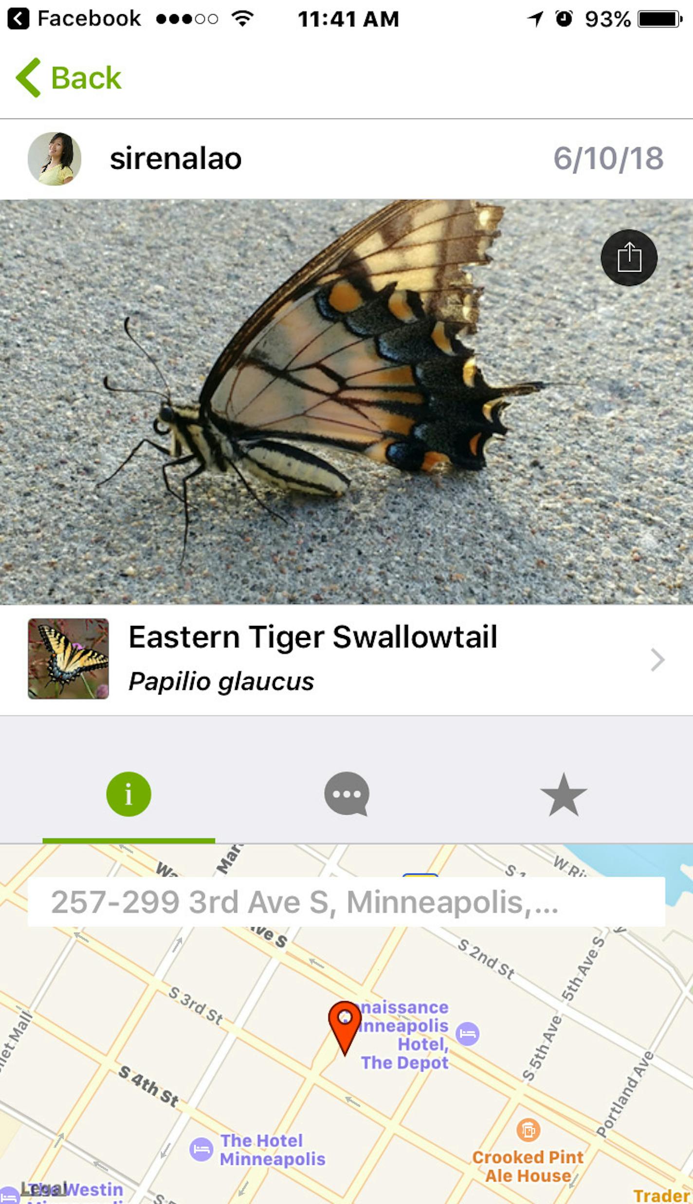 iNaturalist screenshot