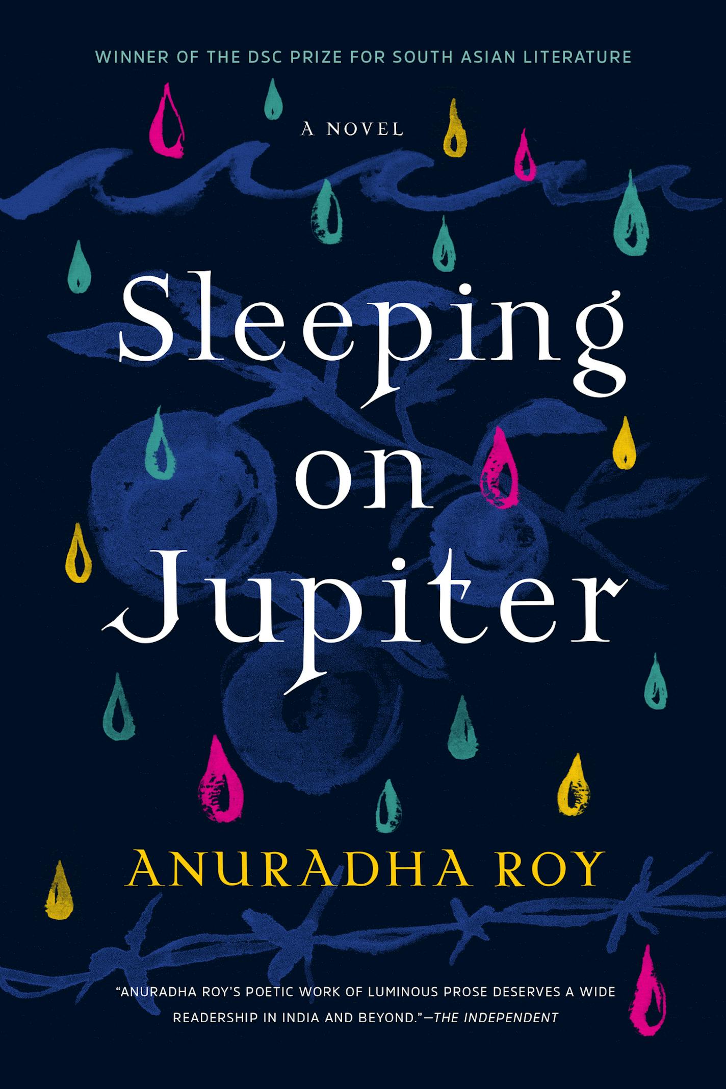 "Sleeping on Jupiter," by Anuradha Roy