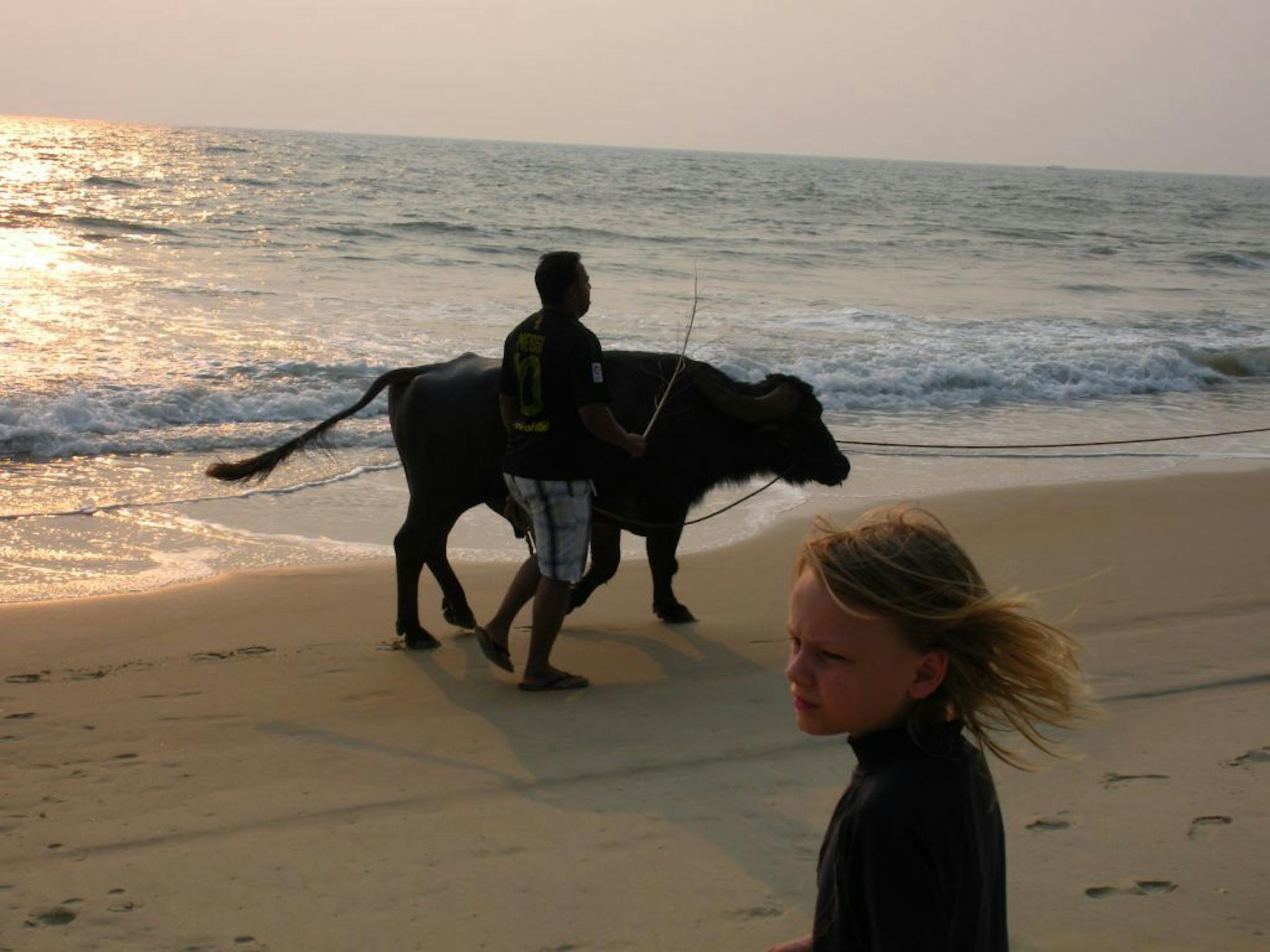 Theron Wangerin, 10, played on the beach near Betalbim, Goa, as a farmer walked his water buffalo and later took it for a swim in the Arabian Sea.